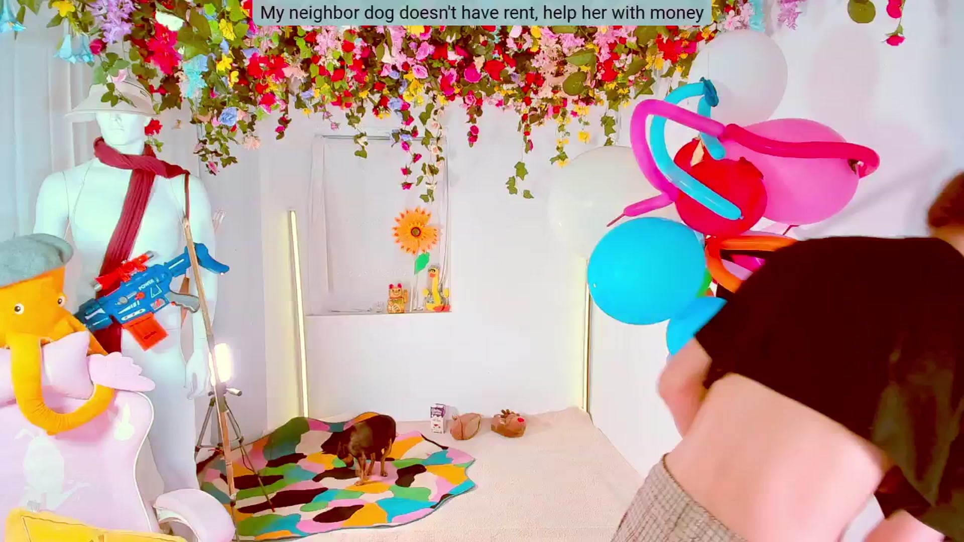 Gallery image thumbnail from Agostinha_Red's myfreecams stream on, 06/22/2024, 23:49 image 13 of 20