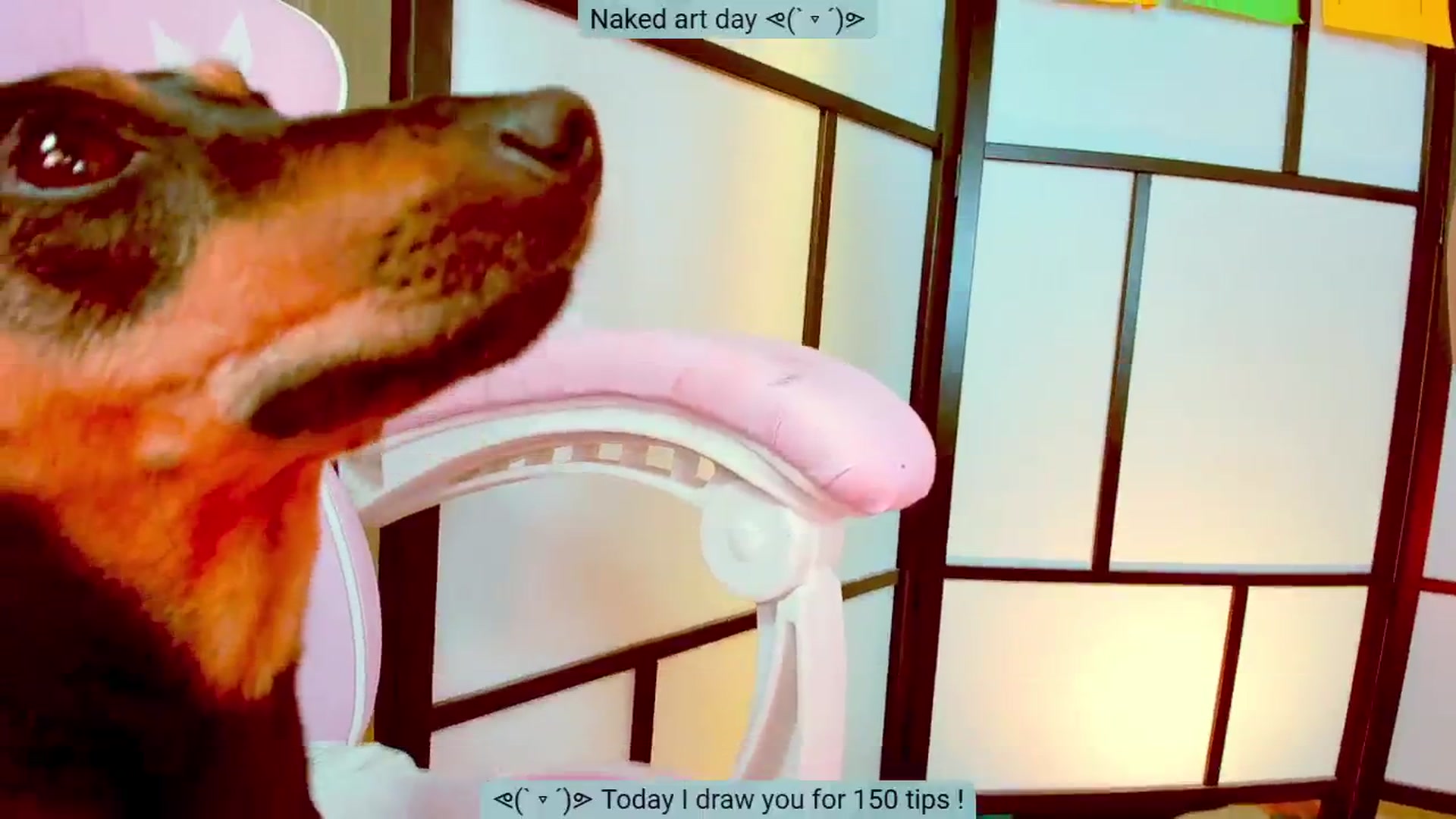 Gallery image thumbnail from Agostinha_Red's myfreecams stream on, 08/20/2024, 22:32 image 15 of 20