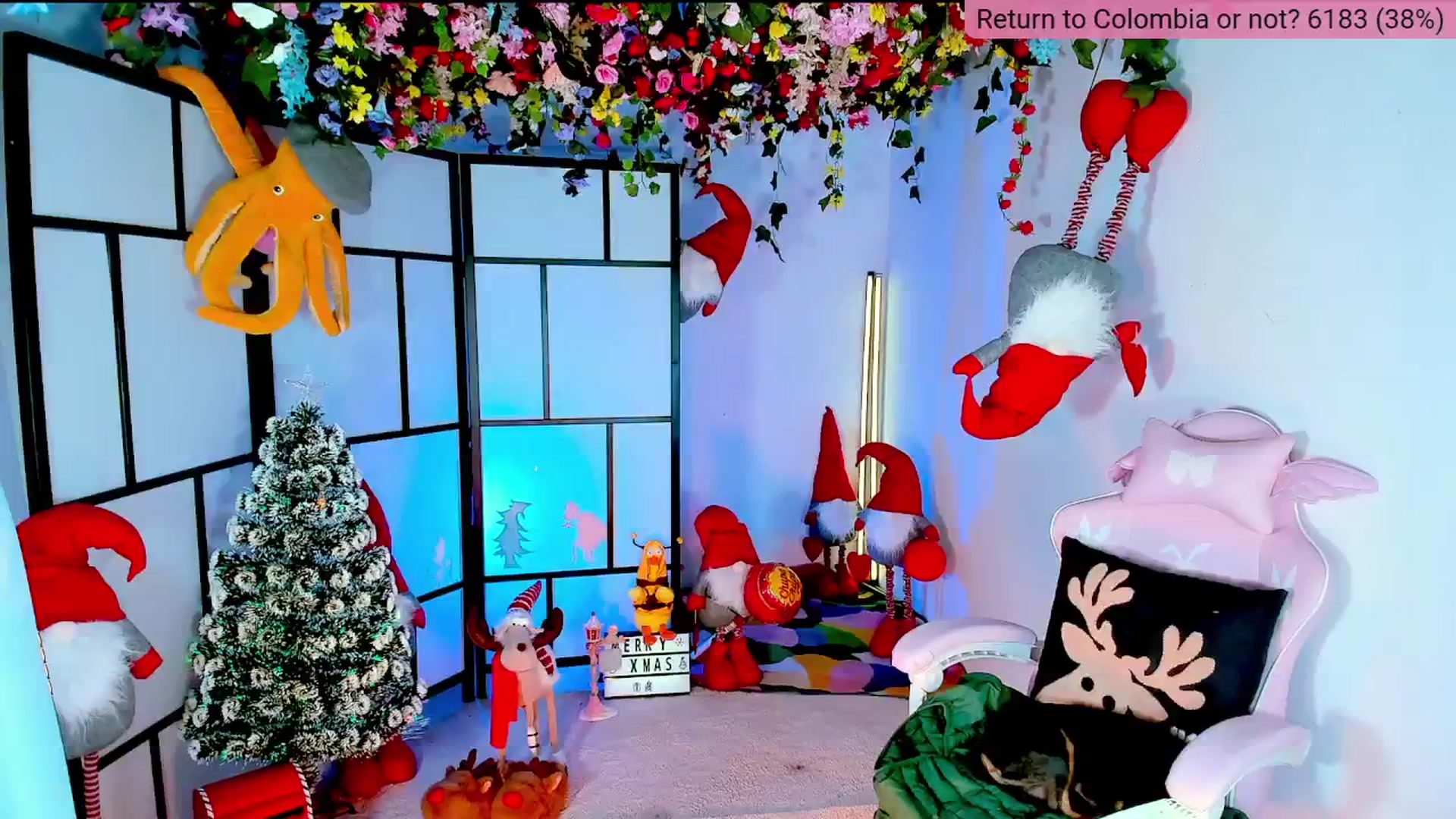 Gallery image thumbnail from Agostinha_Red's myfreecams stream on, 12/07/2024, 21:11 image 18 of 20