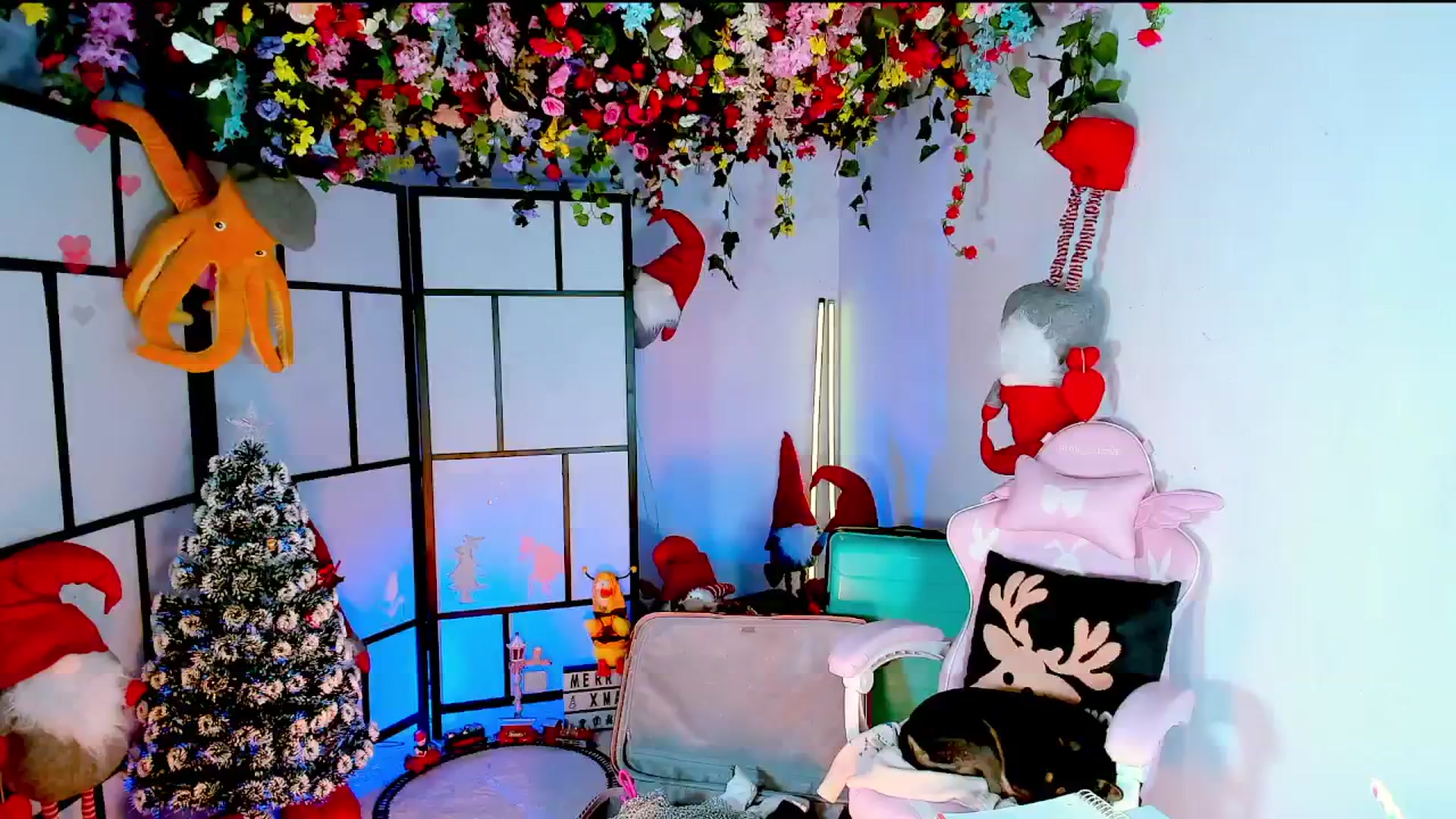 Gallery image thumbnail from Agostinha_Red's myfreecams stream on, 12/12/2024, 22:48 image 18 of 20