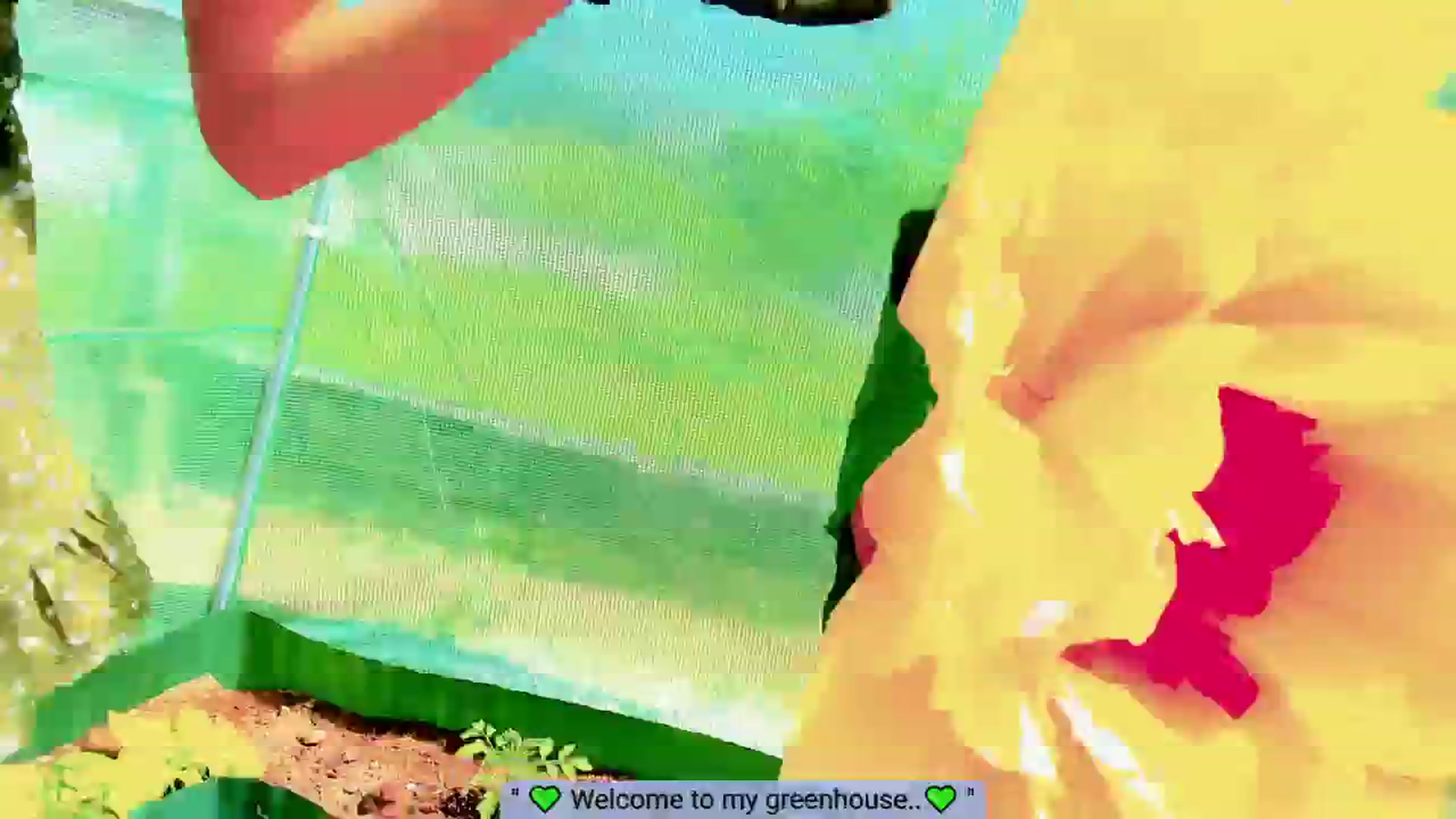 Gallery image thumbnail from Agostinha_Red's myfreecams stream on, 05/28/2025, 15:48 image 11 of 20