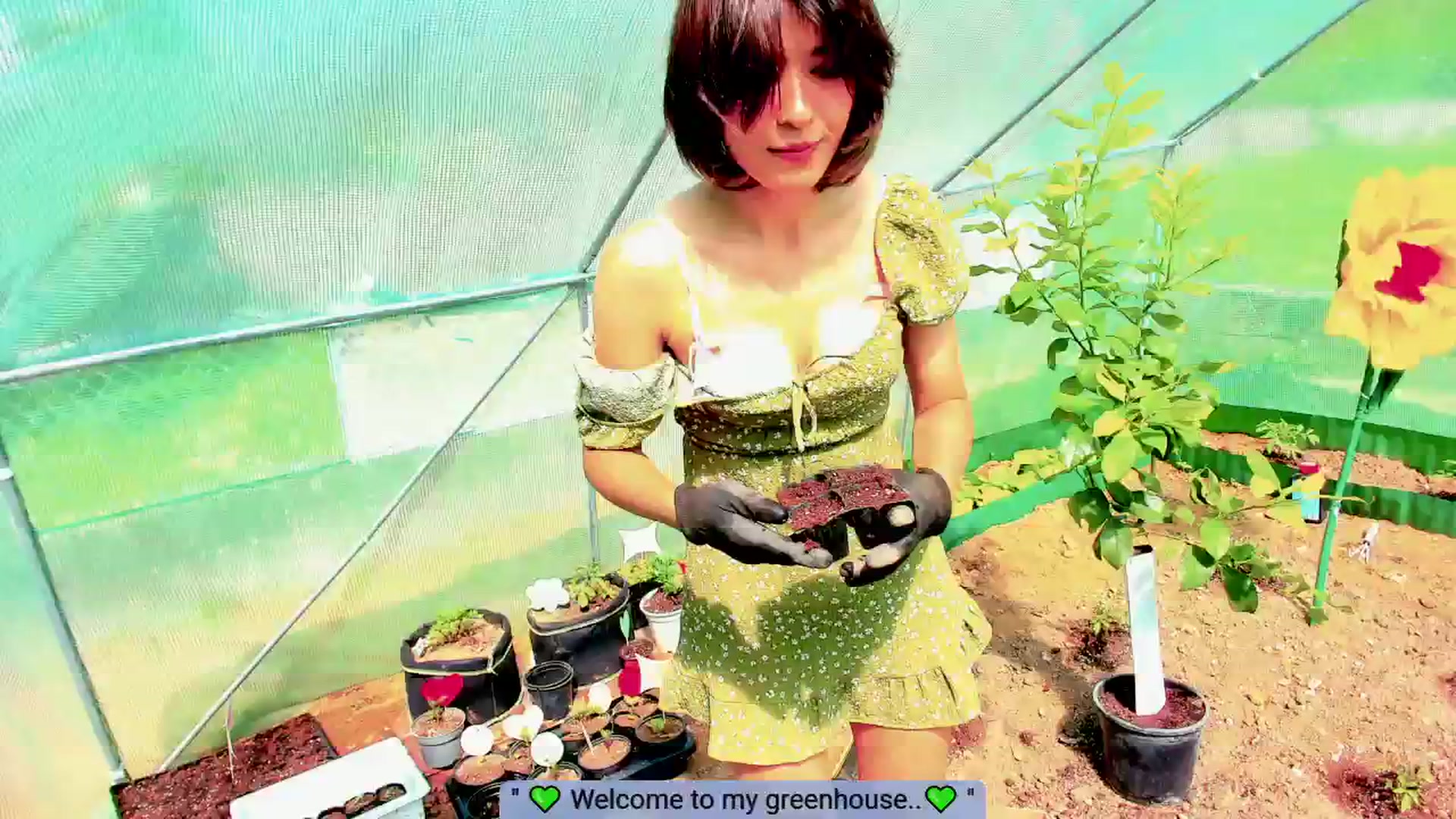 Gallery image thumbnail from Agostinha_Red's myfreecams stream on, 05/28/2025, 15:48 image 16 of 20
