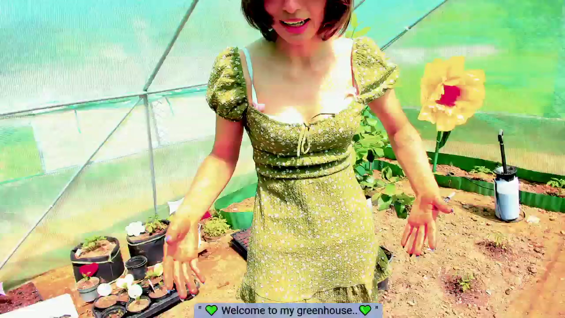 Gallery image thumbnail from Agostinha_Red's myfreecams stream on, 05/28/2025, 15:48 image 12 of 20