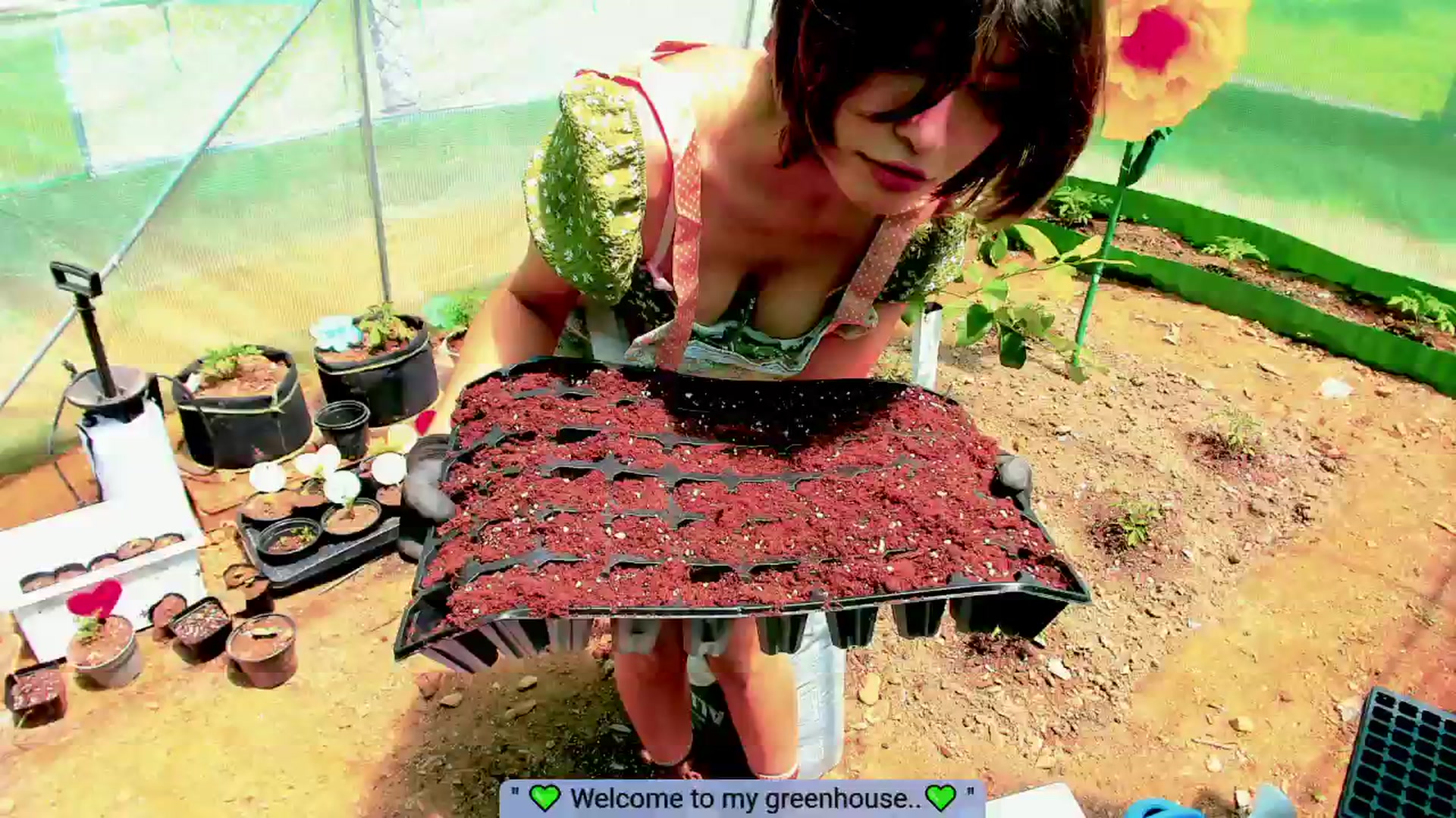 Gallery image thumbnail from Agostinha_Red's myfreecams stream on, 05/28/2025, 15:48 image 5 of 20