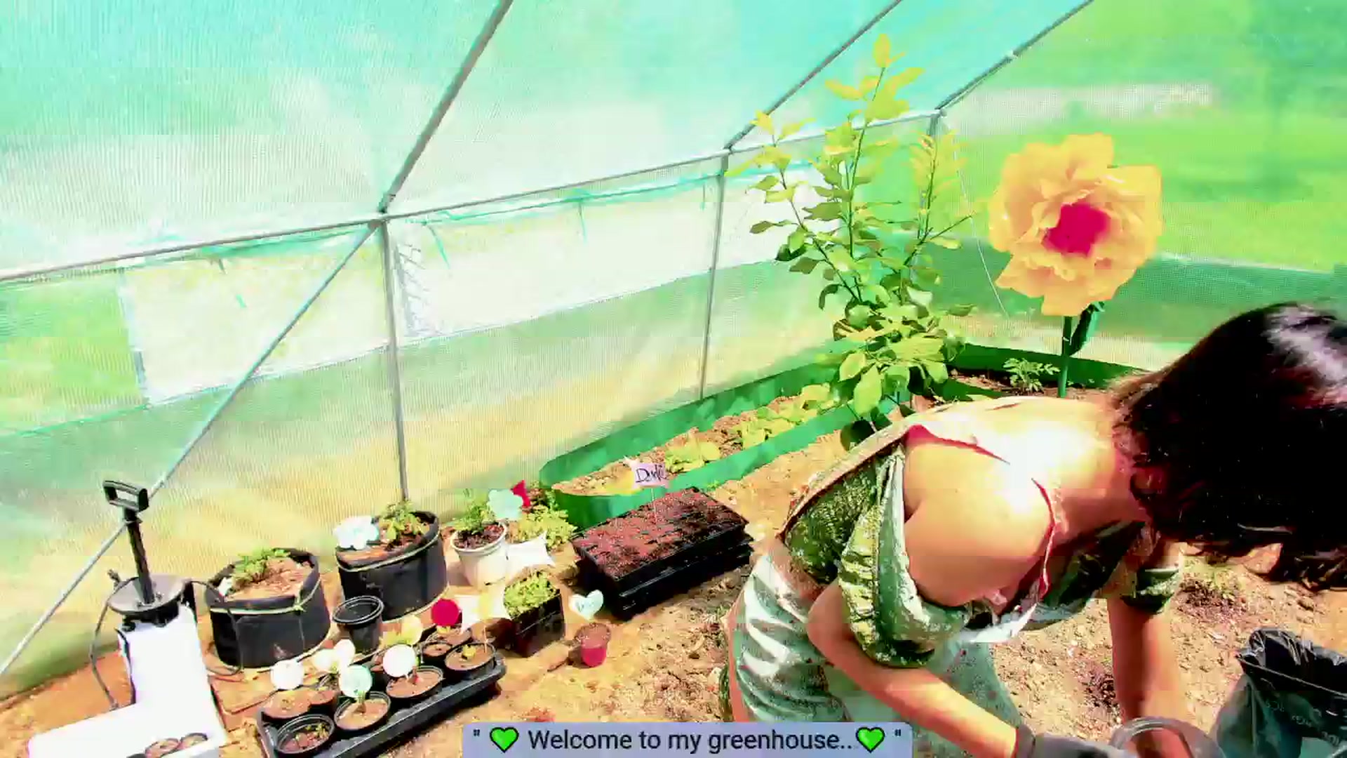 Gallery image thumbnail from Agostinha_Red's myfreecams stream on, 05/28/2025, 15:48 image 6 of 20
