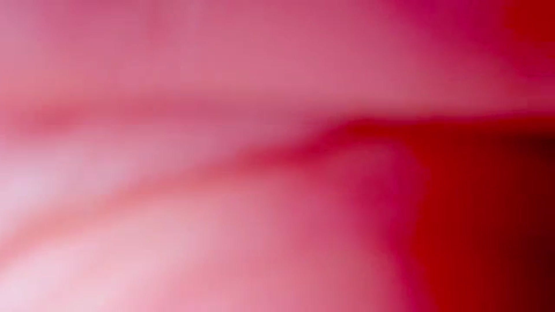 Gallery image thumbnail from Agostinha_Red's myfreecams stream on, 07/12/2025, 06:36 image 17 of 20