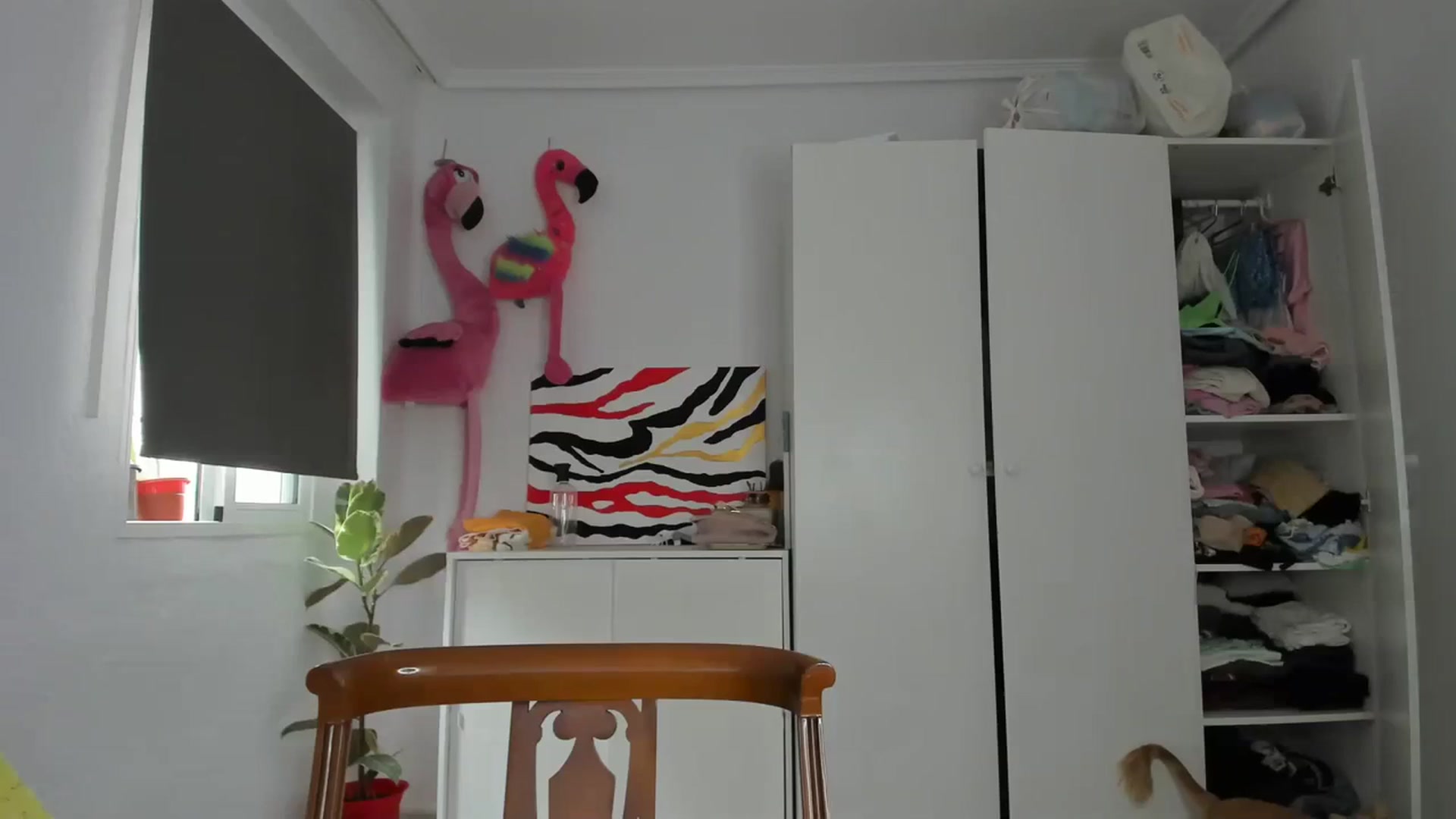 Gallery image thumbnail from AhahaGirl's myfreecams stream on, 08/25/2023, 10:36 image 9 of 20