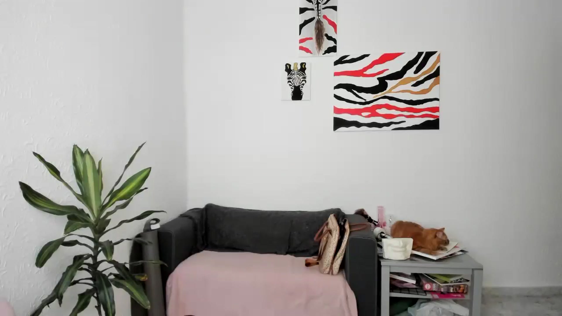Gallery image thumbnail from AhahaGirl's myfreecams stream on, 09/02/2025, 17:12 image 11 of 20