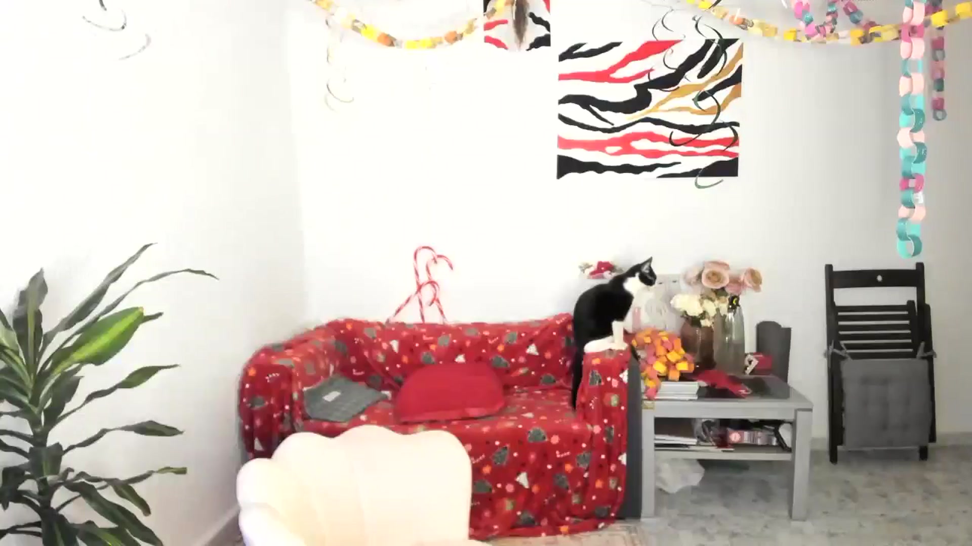 Gallery image thumbnail from AhahaGirl's myfreecams stream on, 01/10/2026, 16:02 image 9 of 20