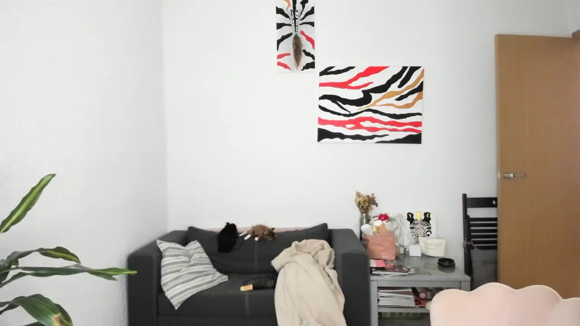 Gallery image thumbnail from AhahaGirl's myfreecams stream on, 04/14/2026, 18:08 image 2 of 20