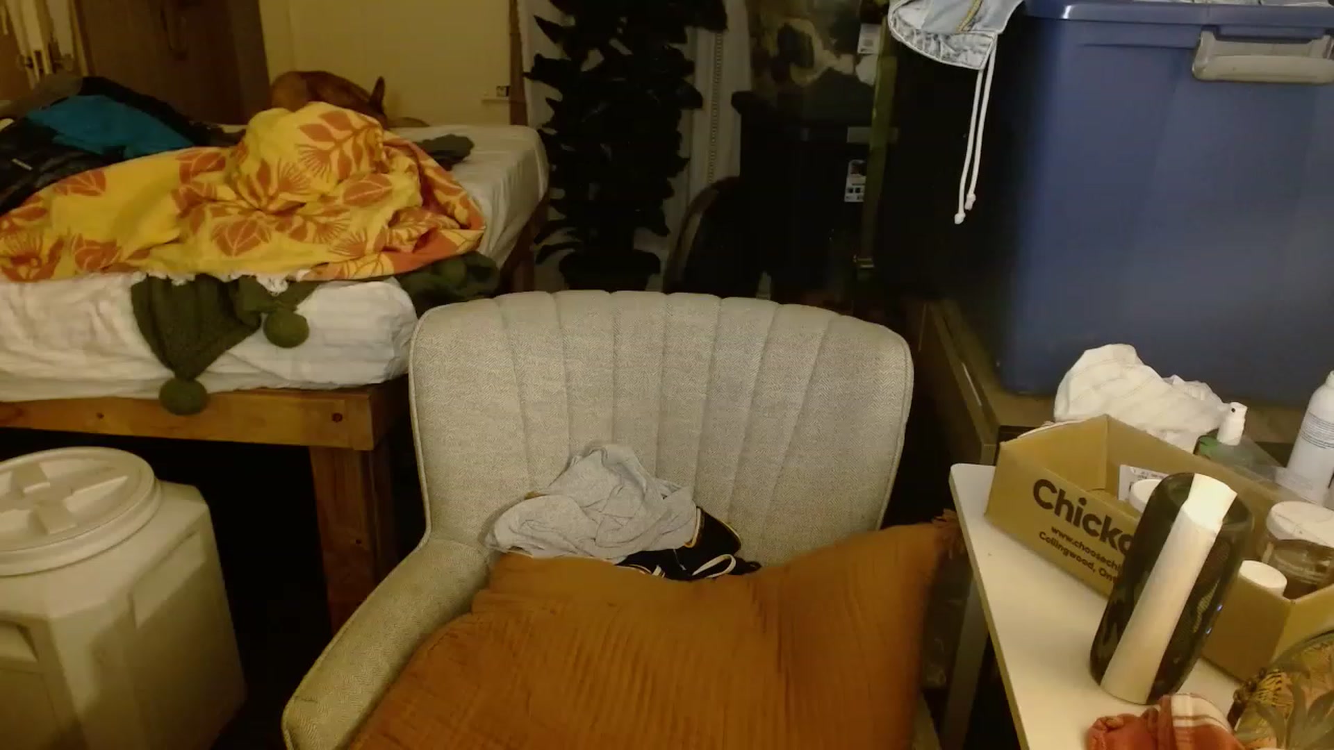 Gallery image thumbnail from Ailia_'s myfreecams stream on, 11/15/2022, 06:52 image 13 of 20