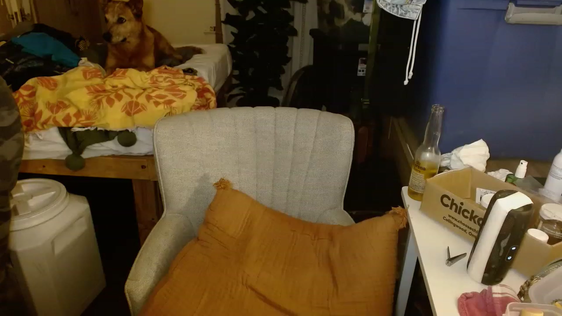 Gallery image thumbnail from Ailia_'s myfreecams stream on, 11/15/2022, 07:38 image 18 of 20