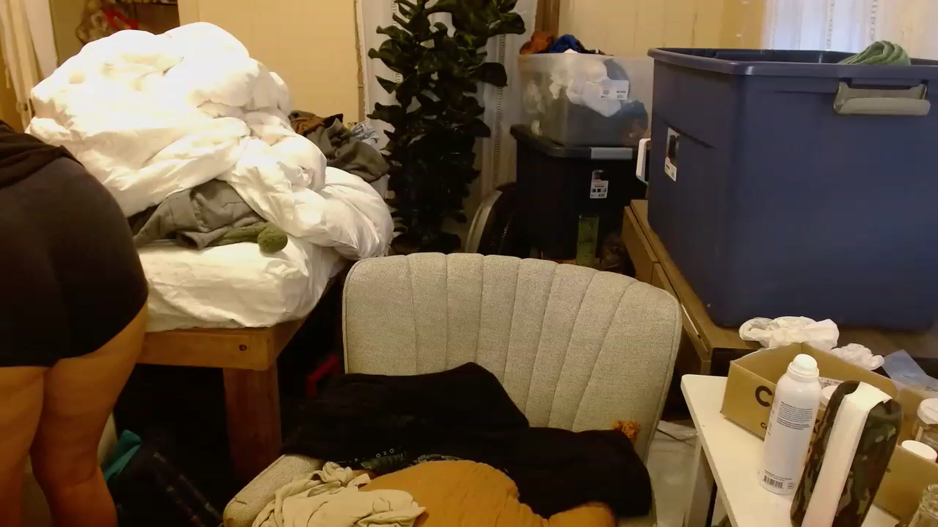 Gallery image thumbnail from Ailia_'s myfreecams stream on, 11/16/2022, 07:47 image 1 of 20