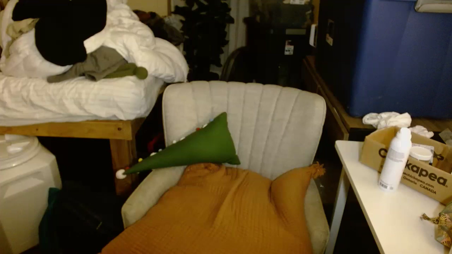 Gallery image thumbnail from Ailia_'s myfreecams stream on, 11/16/2022, 08:03 image 11 of 20