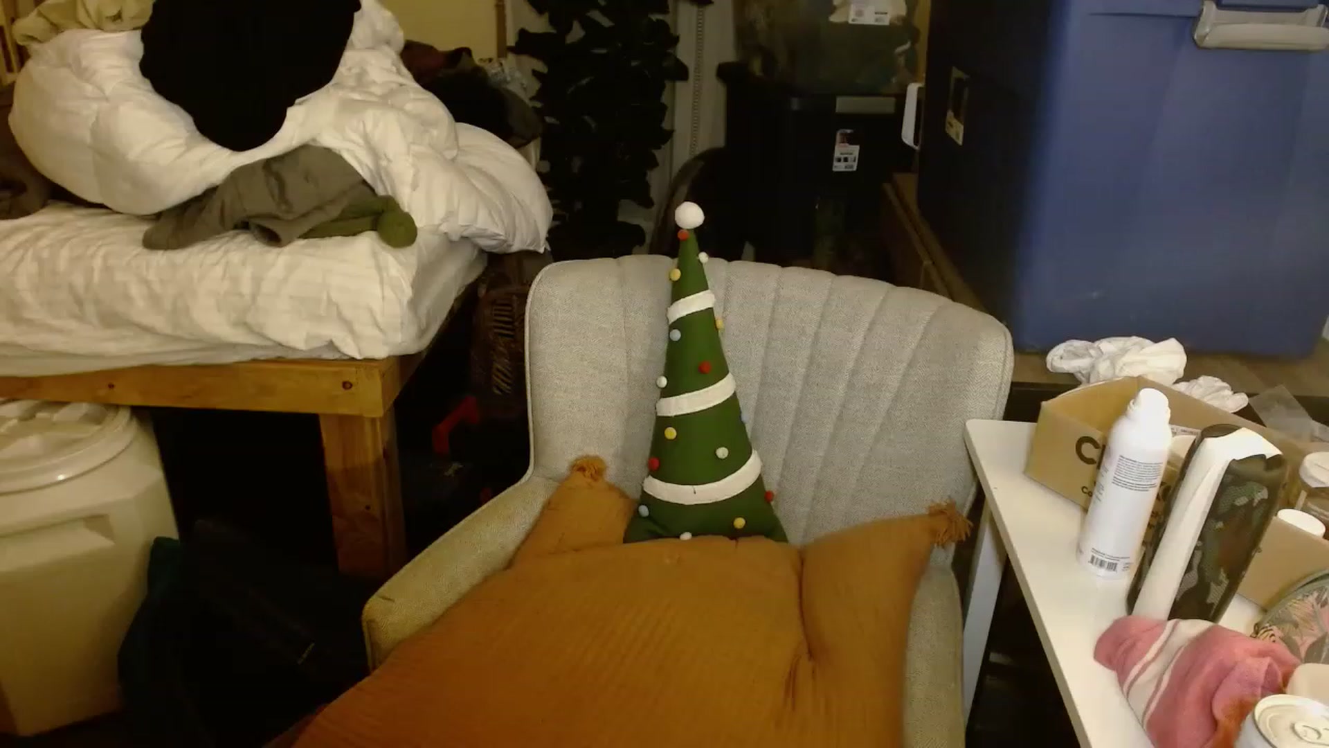 Gallery image thumbnail from Ailia_'s myfreecams stream on, 11/16/2022, 08:03 image 4 of 20