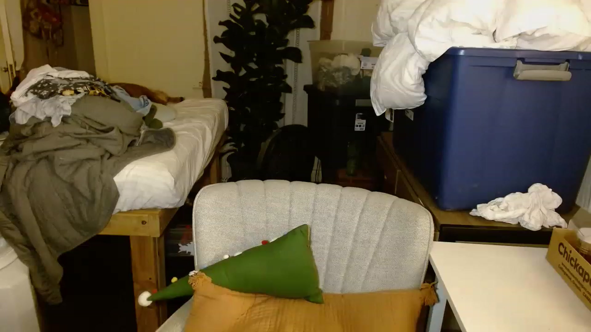 Gallery image thumbnail from Ailia_'s myfreecams stream on, 11/17/2022, 06:22 image 14 of 20