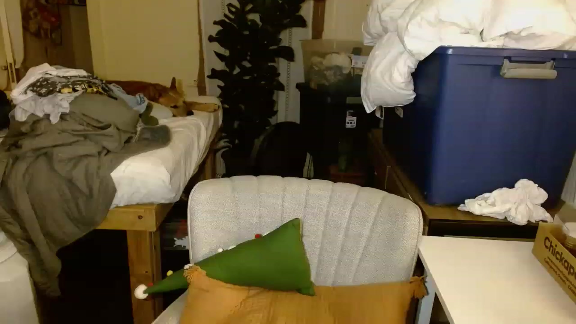 Gallery image thumbnail from Ailia_'s myfreecams stream on, 11/17/2022, 06:22 image 15 of 20