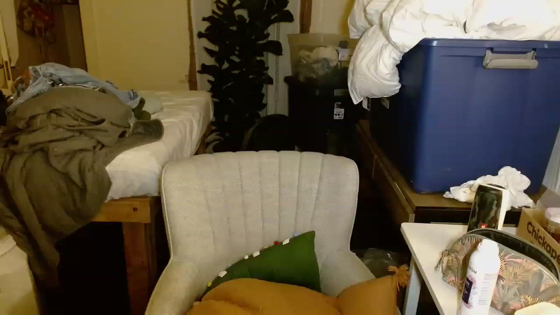 Gallery image thumbnail from Ailia_'s myfreecams stream on, 11/17/2022, 06:22 image 5 of 20