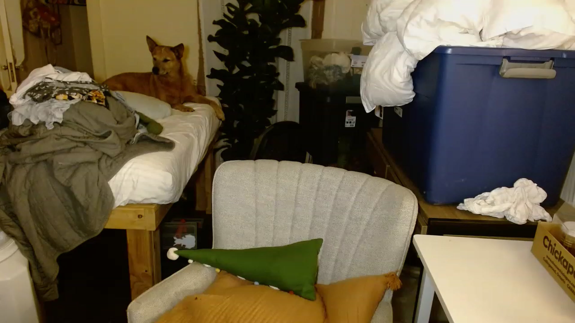 Gallery image thumbnail from Ailia_'s myfreecams stream on, 11/17/2022, 06:22 image 19 of 20