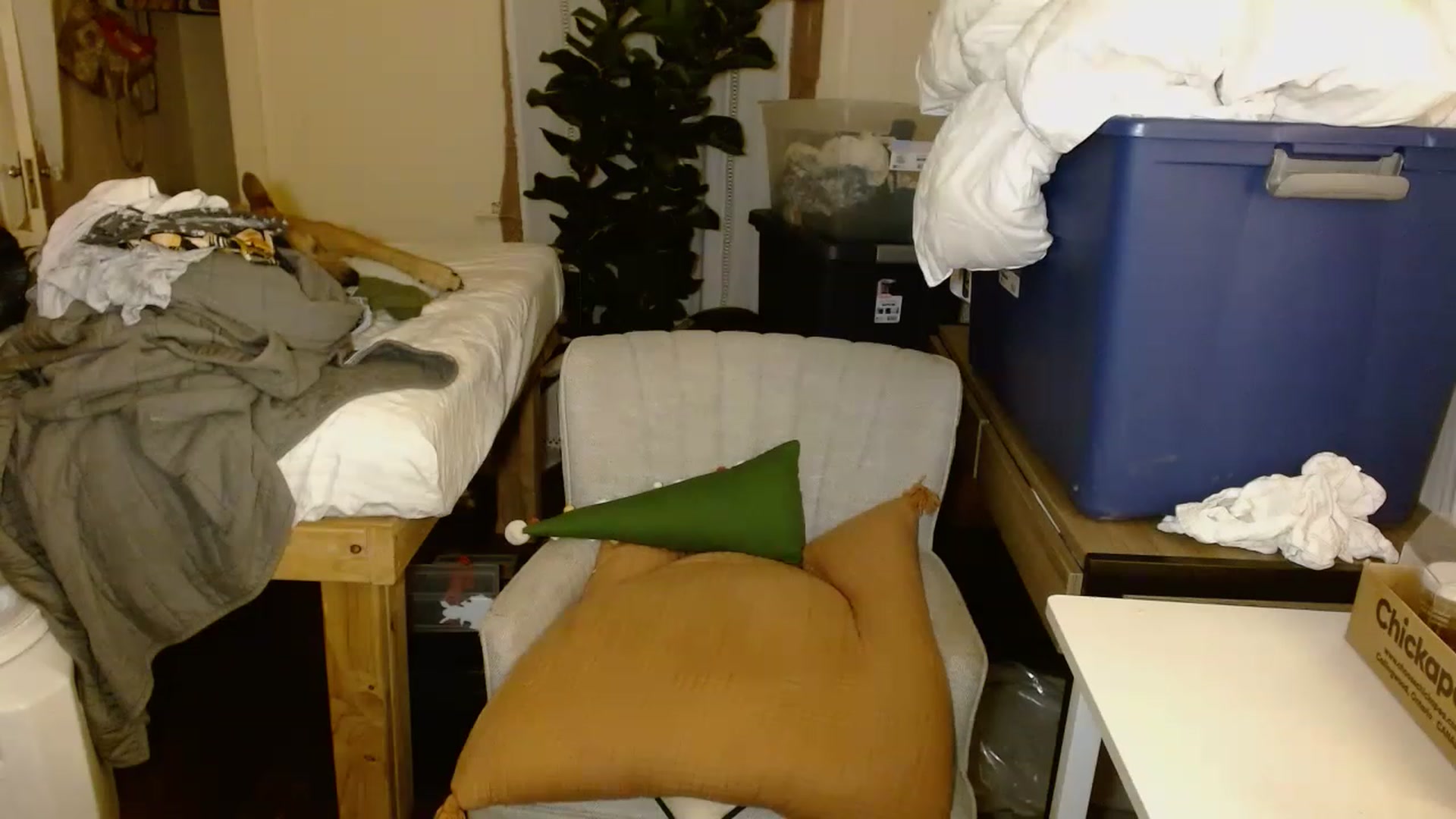 Gallery image thumbnail from Ailia_'s myfreecams stream on, 11/17/2022, 07:26 image 4 of 20