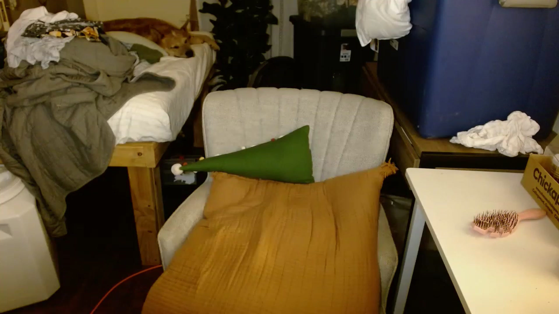 Gallery image thumbnail from Ailia_'s myfreecams stream on, 11/17/2022, 07:26 image 16 of 20