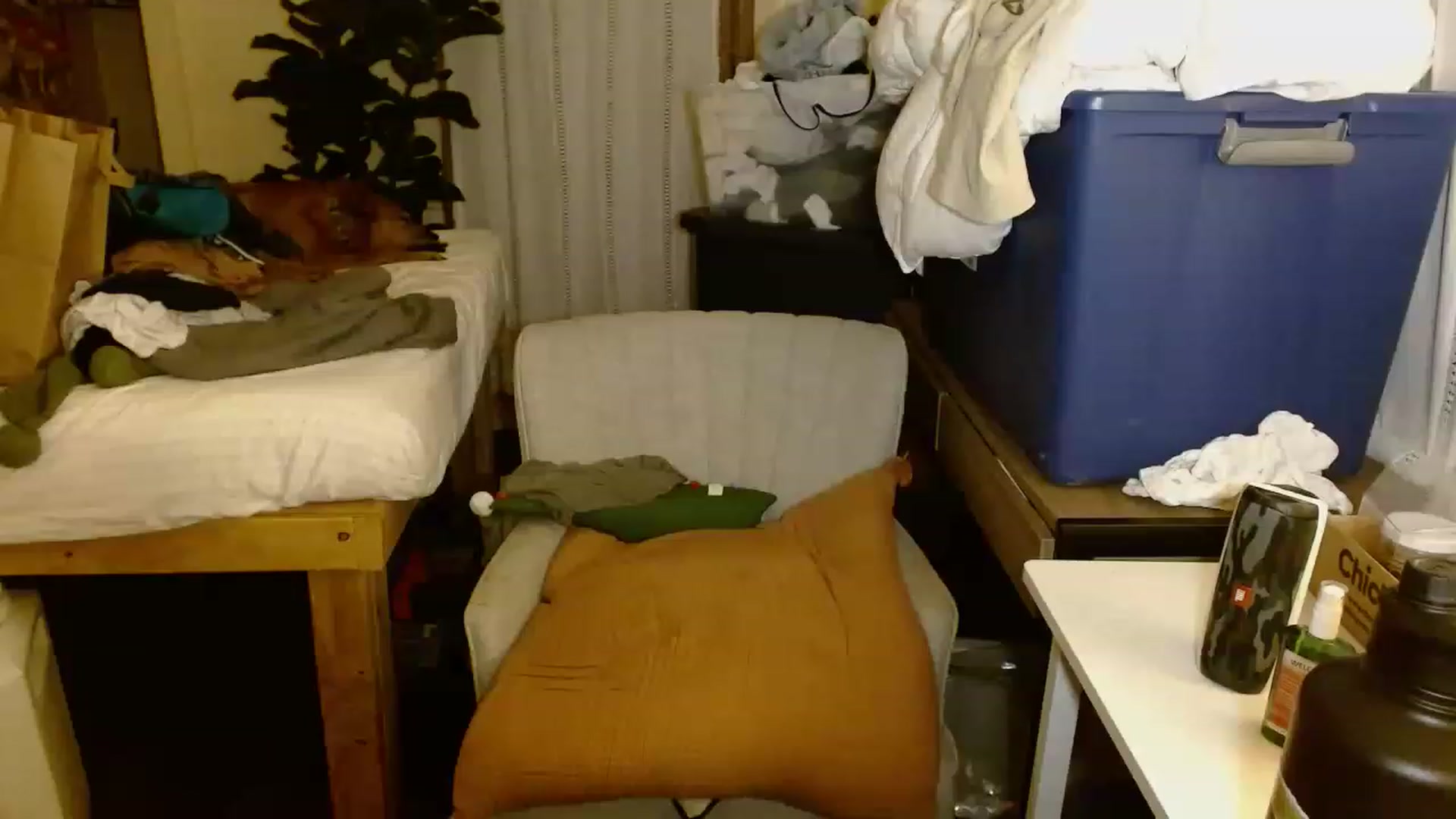 Gallery image thumbnail from Ailia_'s myfreecams stream on, 11/18/2022, 04:36 image 14 of 20