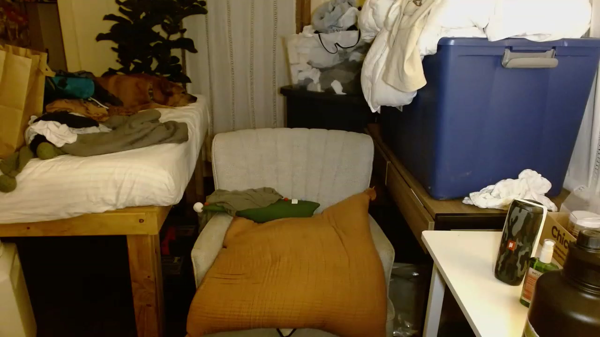 Gallery image thumbnail from Ailia_'s myfreecams stream on, 11/18/2022, 04:36 image 18 of 20