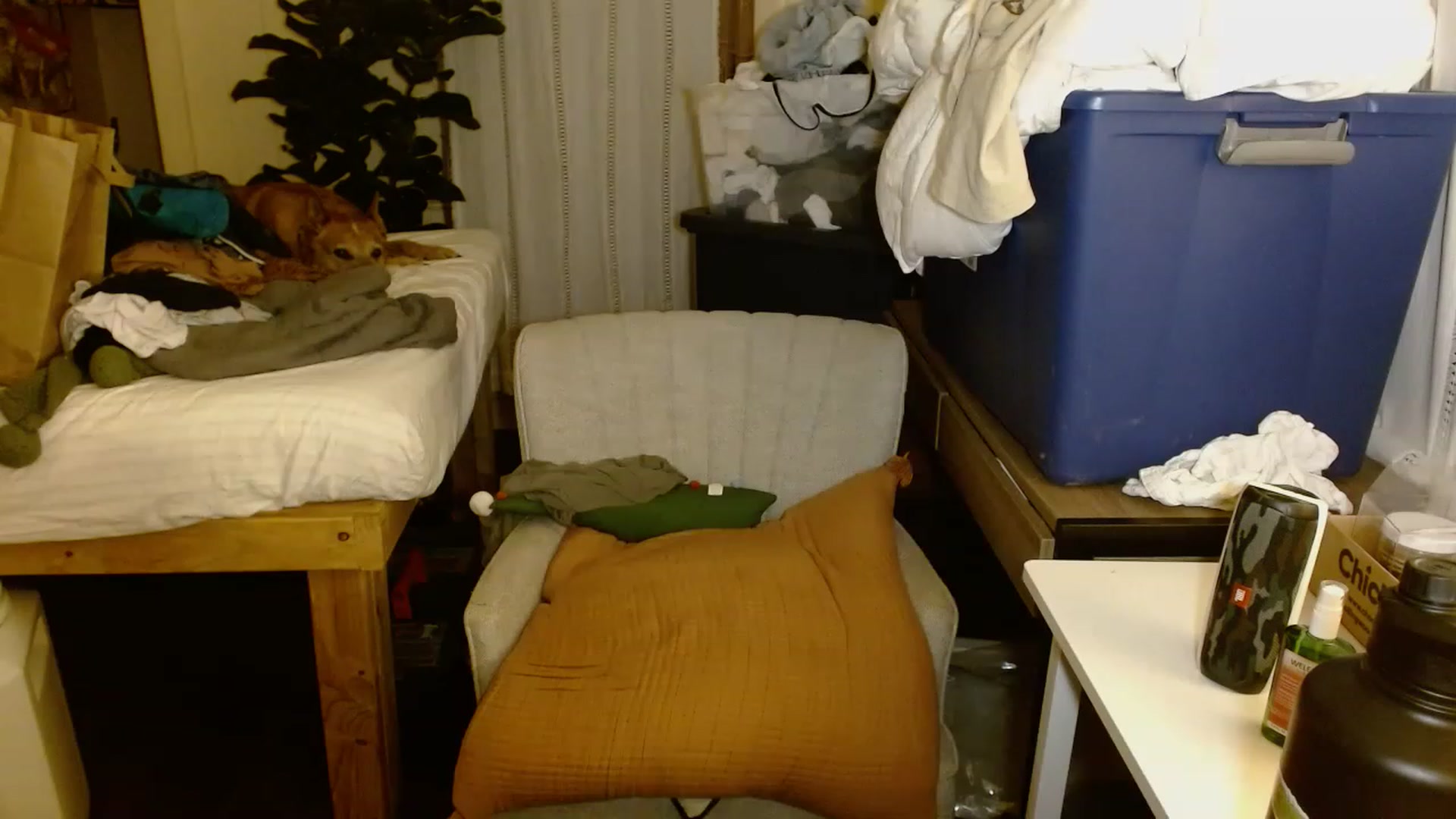 Gallery image thumbnail from Ailia_'s myfreecams stream on, 11/18/2022, 04:36 image 15 of 20
