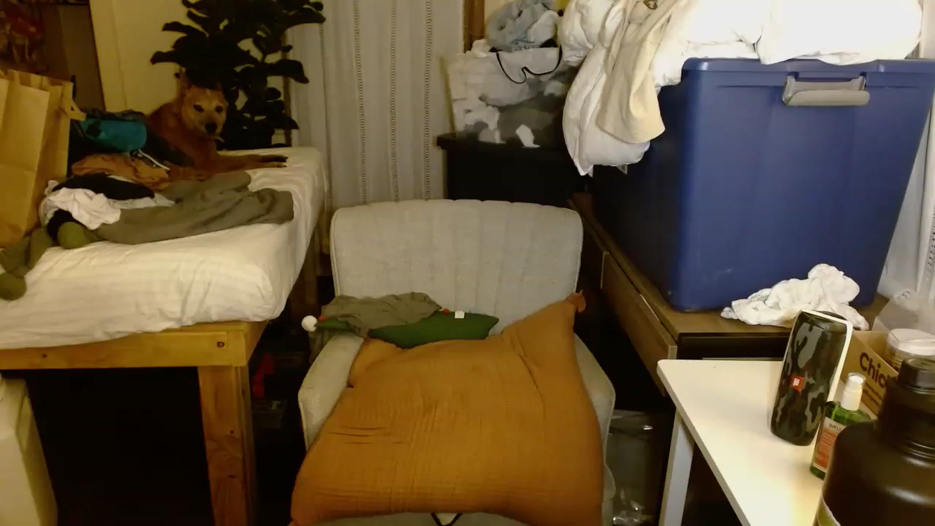 Gallery image thumbnail from Ailia_'s myfreecams stream on, 11/18/2022, 04:36 image 13 of 20