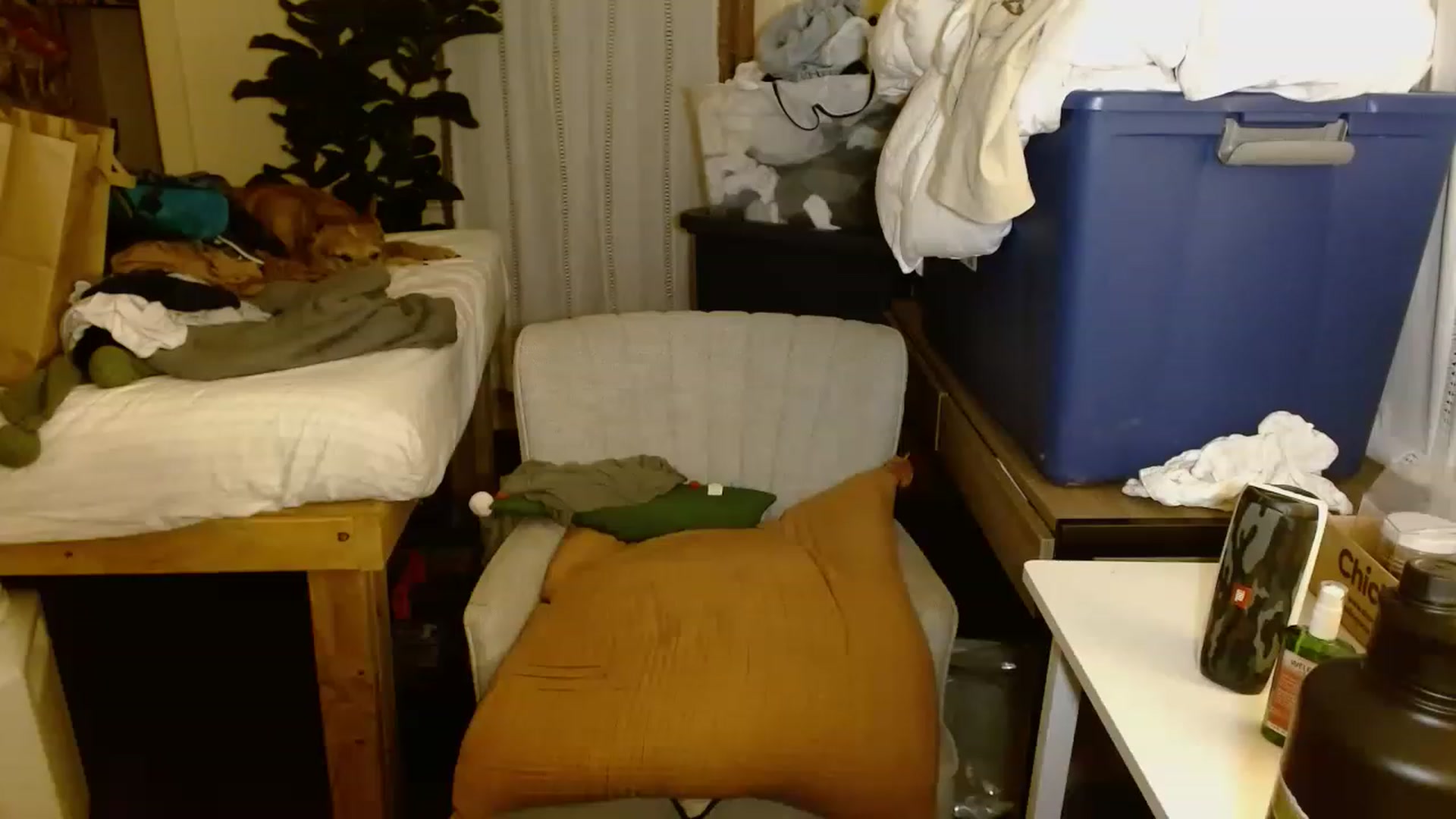 Gallery image thumbnail from Ailia_'s myfreecams stream on, 11/18/2022, 04:36 image 17 of 20