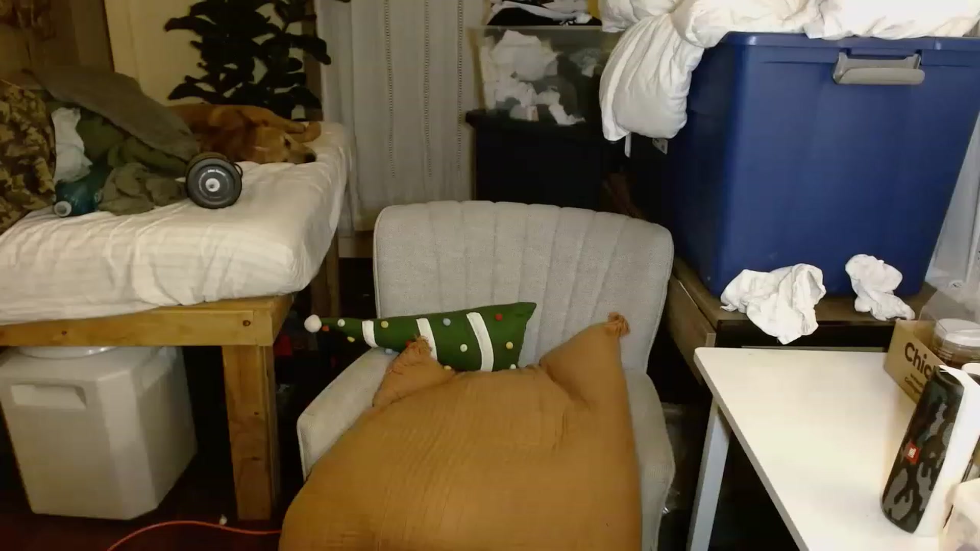 Gallery image thumbnail from Ailia_'s myfreecams stream on, 11/19/2022, 07:56 image 17 of 20