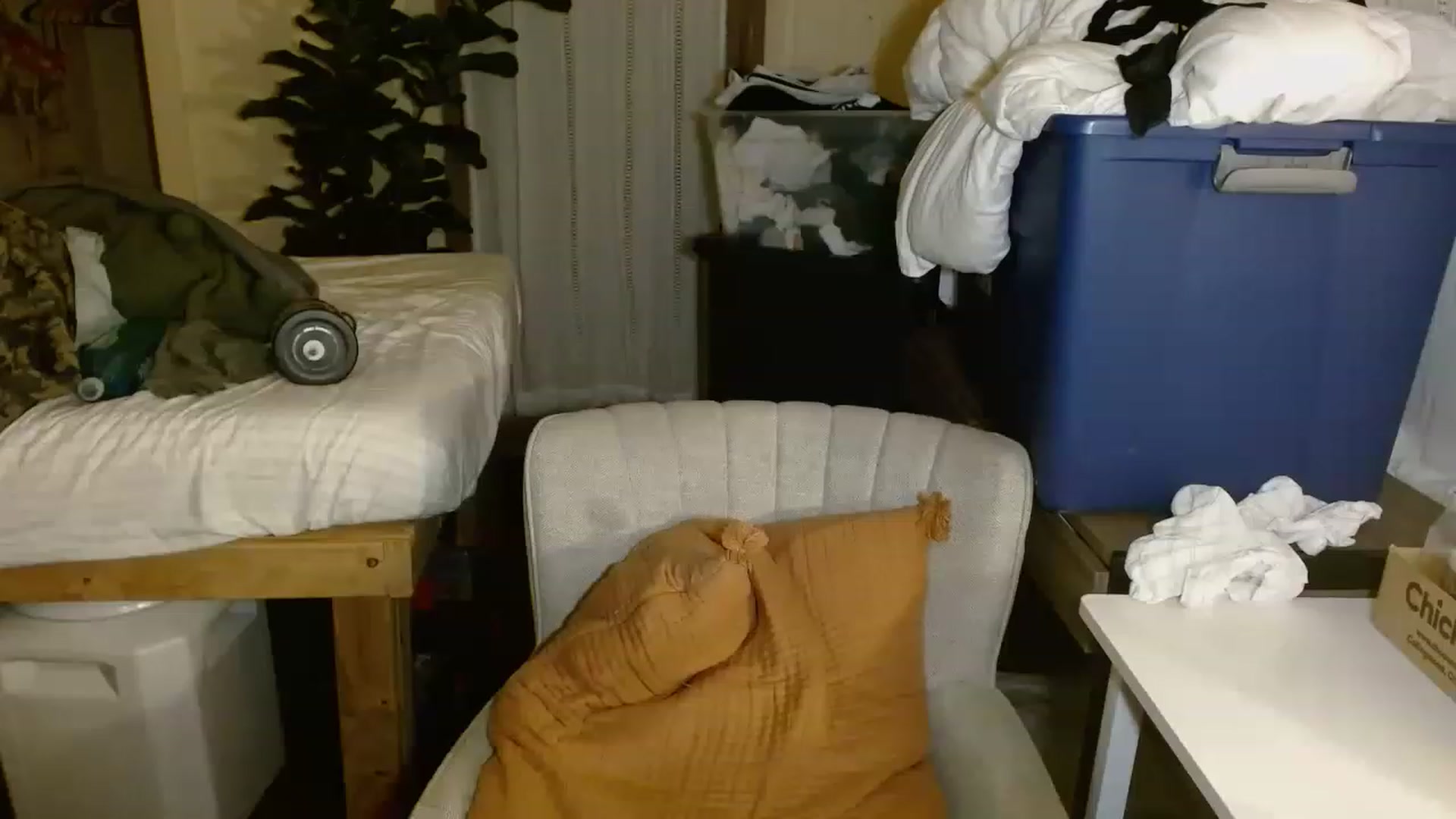 Gallery image thumbnail from Ailia_'s myfreecams stream on, 11/19/2022, 10:36 image 3 of 20