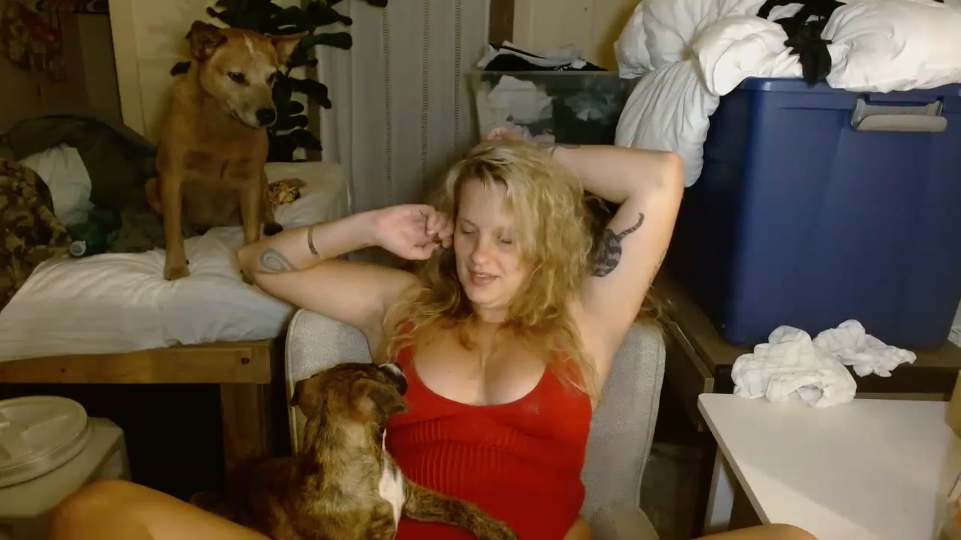 Gallery image thumbnail from Ailia_'s myfreecams stream on, 11/19/2022, 10:36 image 20 of 20