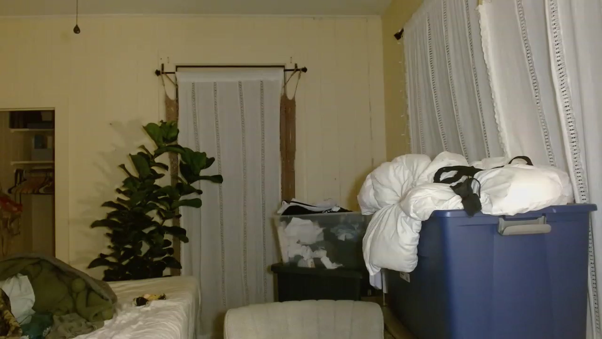 Gallery image thumbnail from Ailia_'s myfreecams stream on, 11/19/2022, 10:36 image 13 of 20