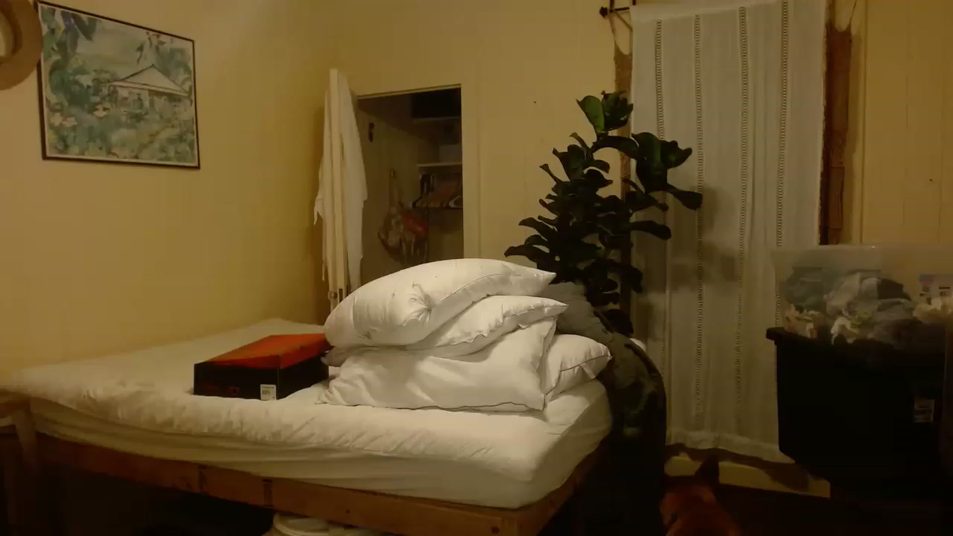 Gallery image thumbnail from Ailia_'s myfreecams stream on, 11/21/2022, 08:02 image 2 of 20
