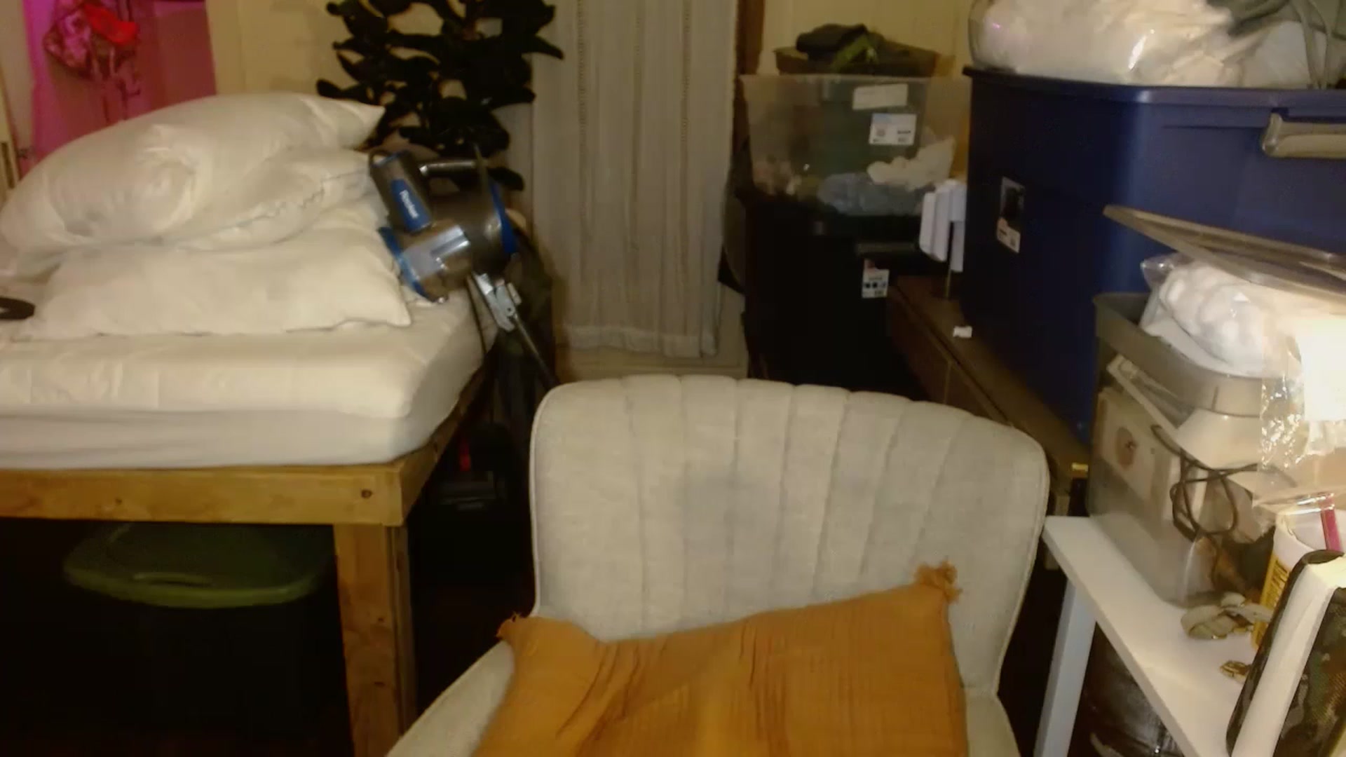 Gallery image thumbnail from Ailia_'s myfreecams stream on, 11/21/2022, 10:44 image 2 of 20