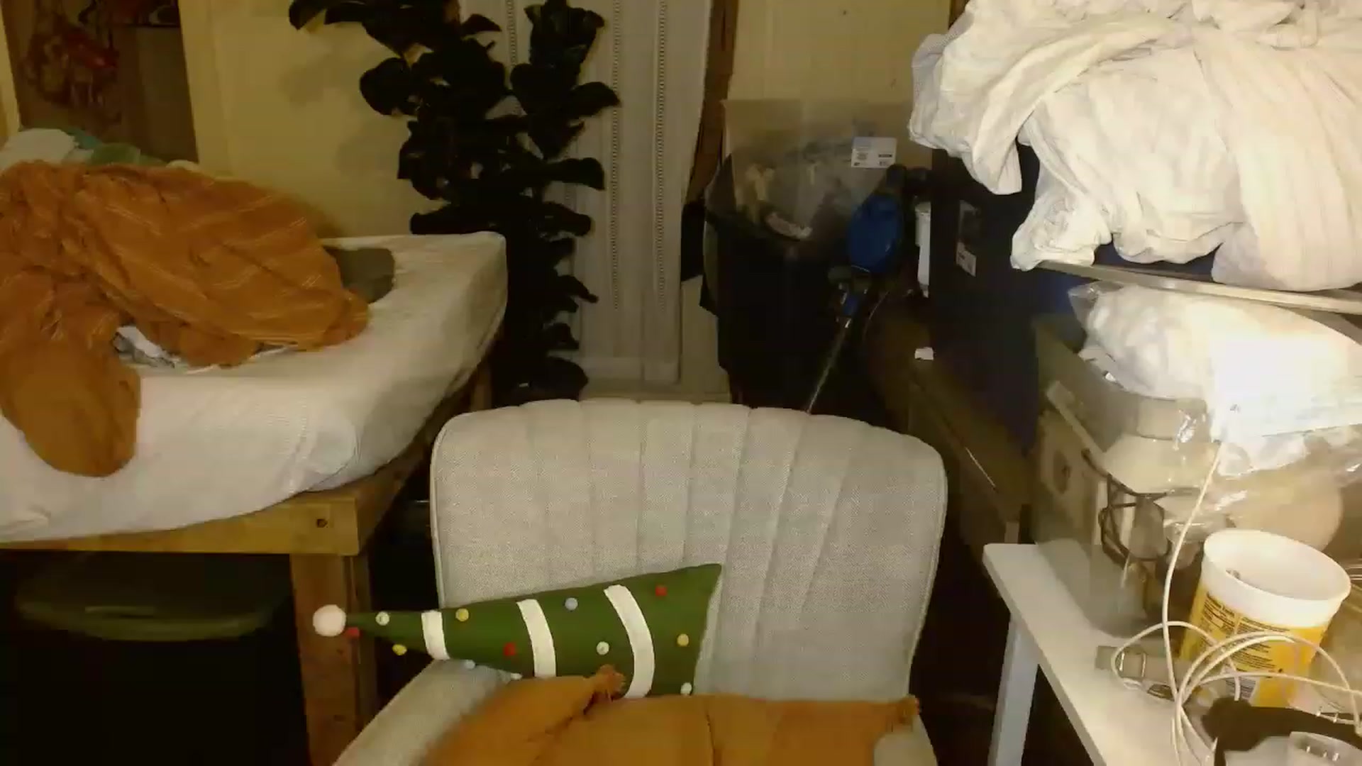 Gallery image thumbnail from Ailia_'s myfreecams stream on, 11/22/2022, 06:04 image 12 of 20