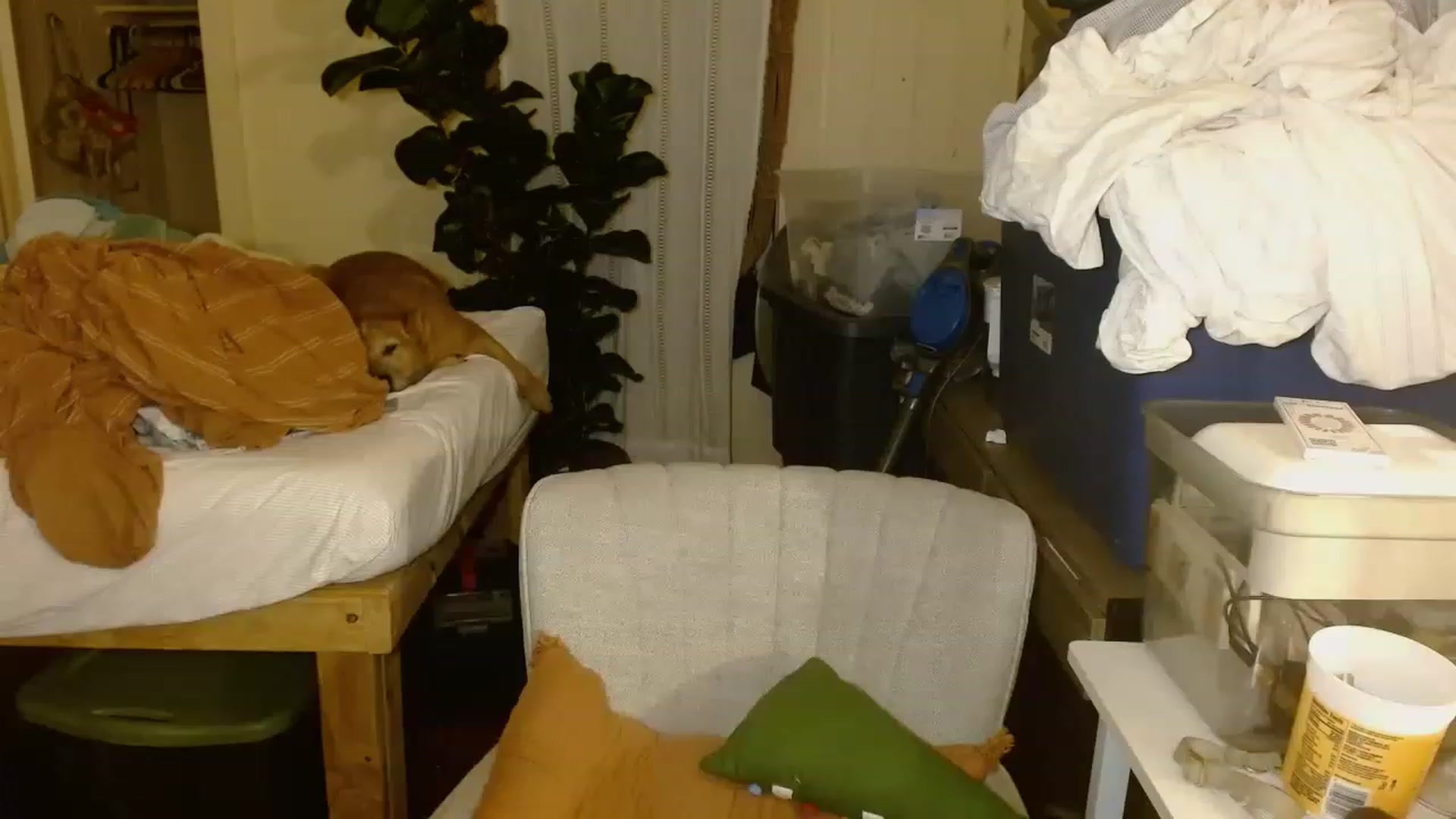 Gallery image thumbnail from Ailia_'s myfreecams stream on, 11/22/2022, 07:51 image 1 of 20