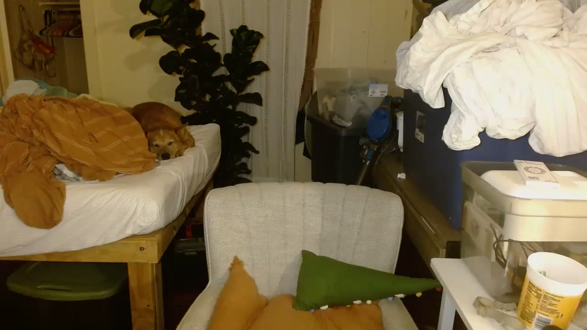 Gallery image thumbnail from Ailia_'s myfreecams stream on, 11/22/2022, 07:51 image 2 of 20