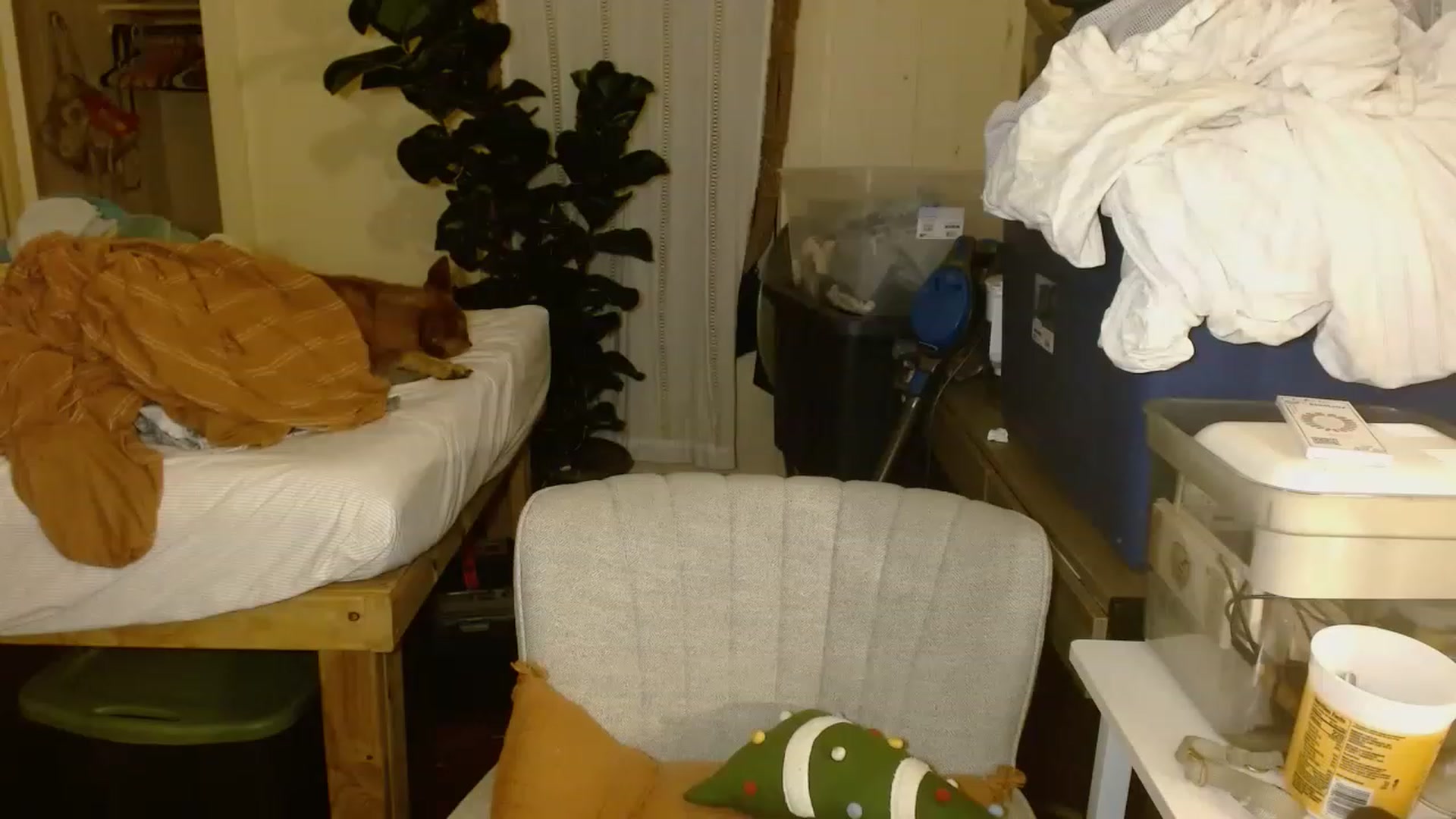 Gallery image thumbnail from Ailia_'s myfreecams stream on, 11/22/2022, 07:51 image 8 of 20
