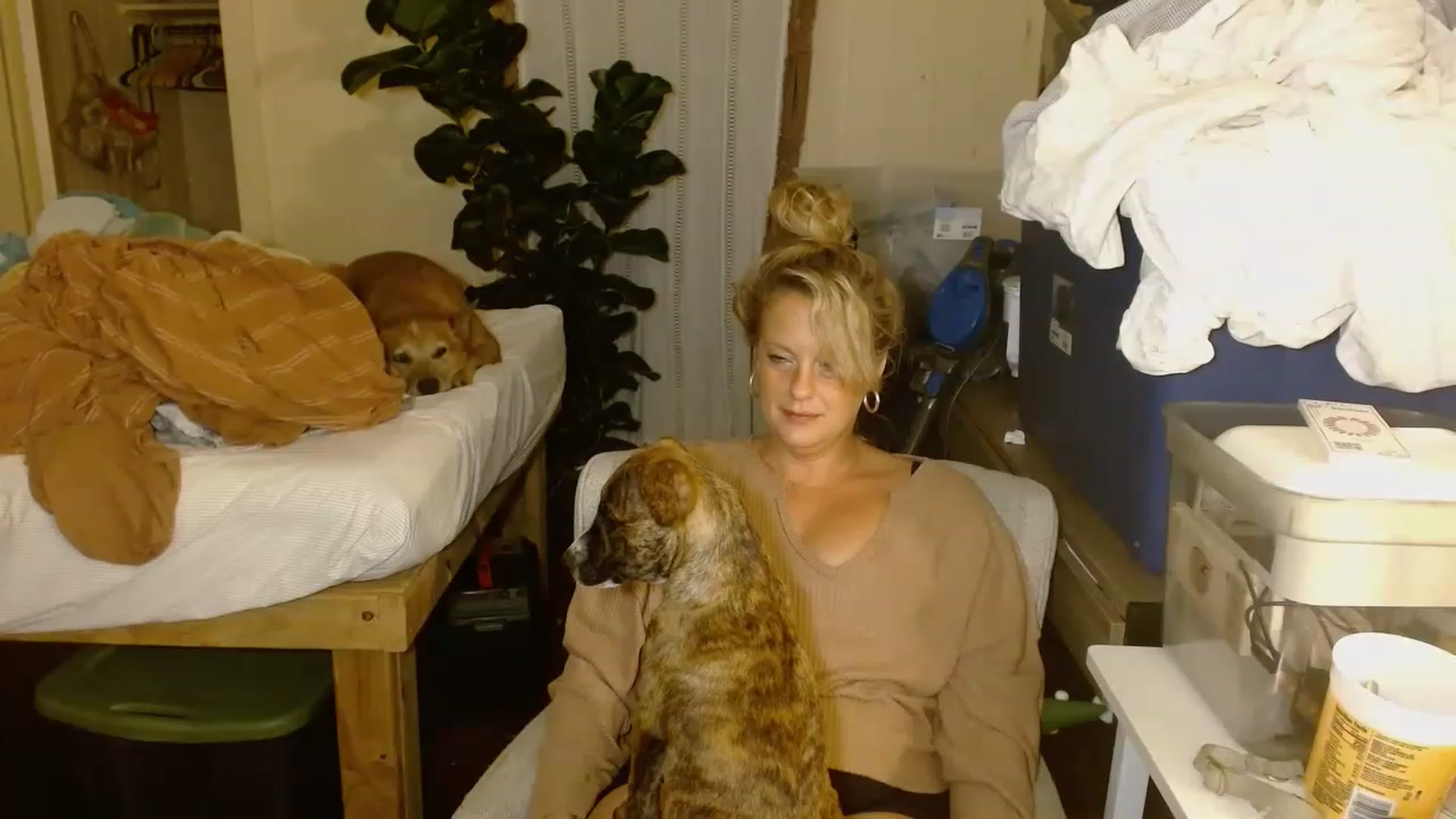 Gallery image thumbnail from Ailia_'s myfreecams stream on, 11/22/2022, 07:51 image 4 of 20