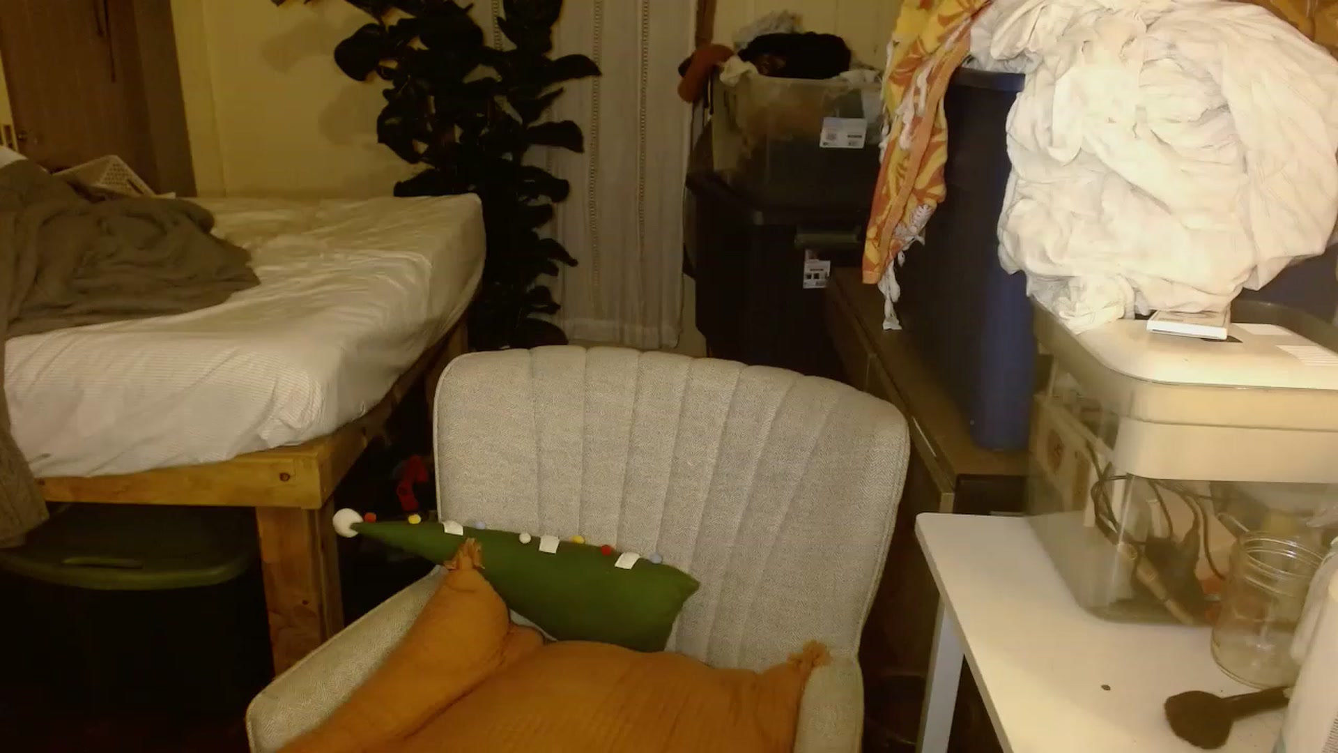 Gallery image thumbnail from Ailia_'s myfreecams stream on, 11/24/2022, 08:32 image 6 of 20