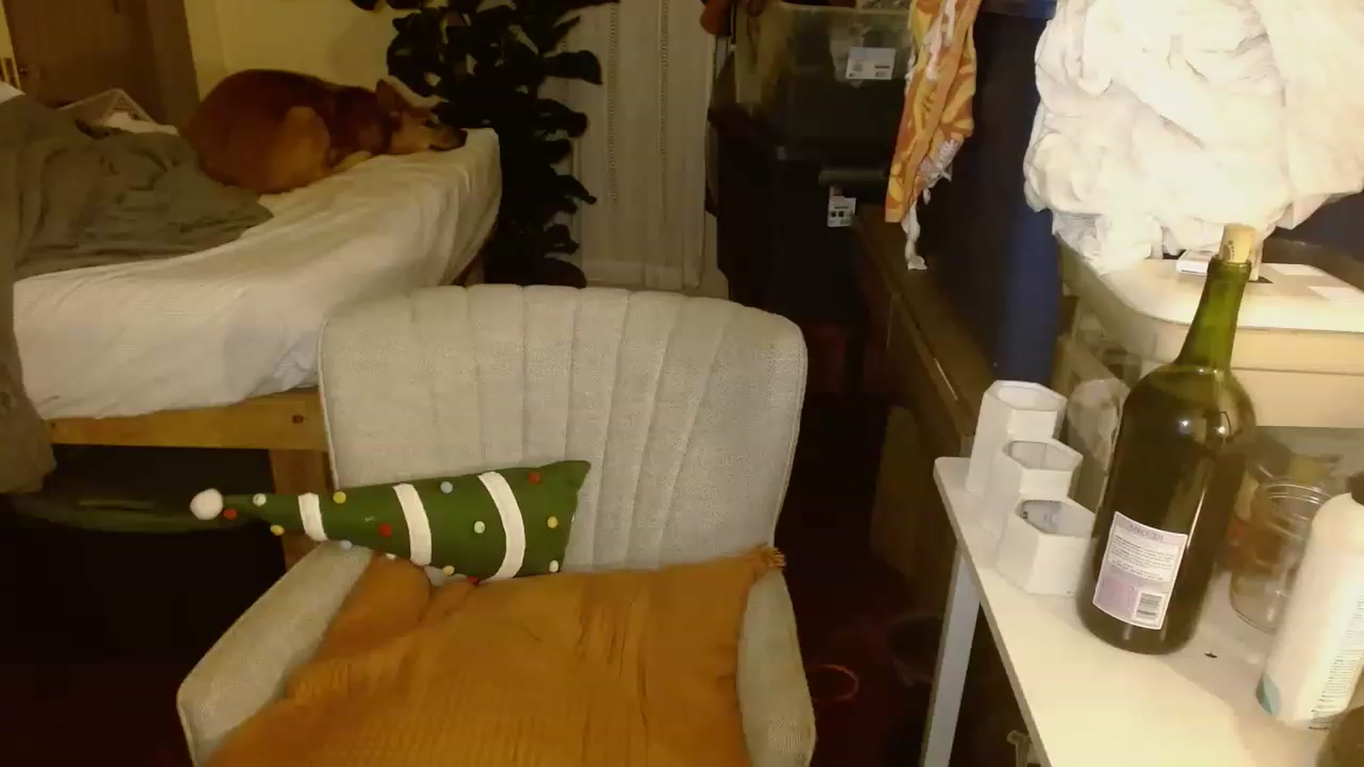 Gallery image thumbnail from Ailia_'s myfreecams stream on, 11/24/2022, 10:04 image 6 of 20