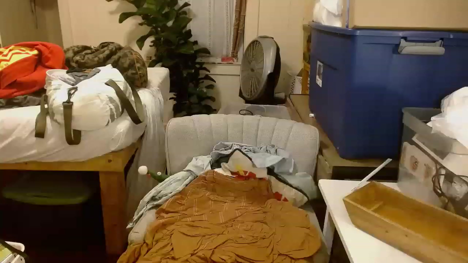 Gallery image thumbnail from Ailia_'s myfreecams stream on, 11/29/2022, 07:53 image 16 of 20