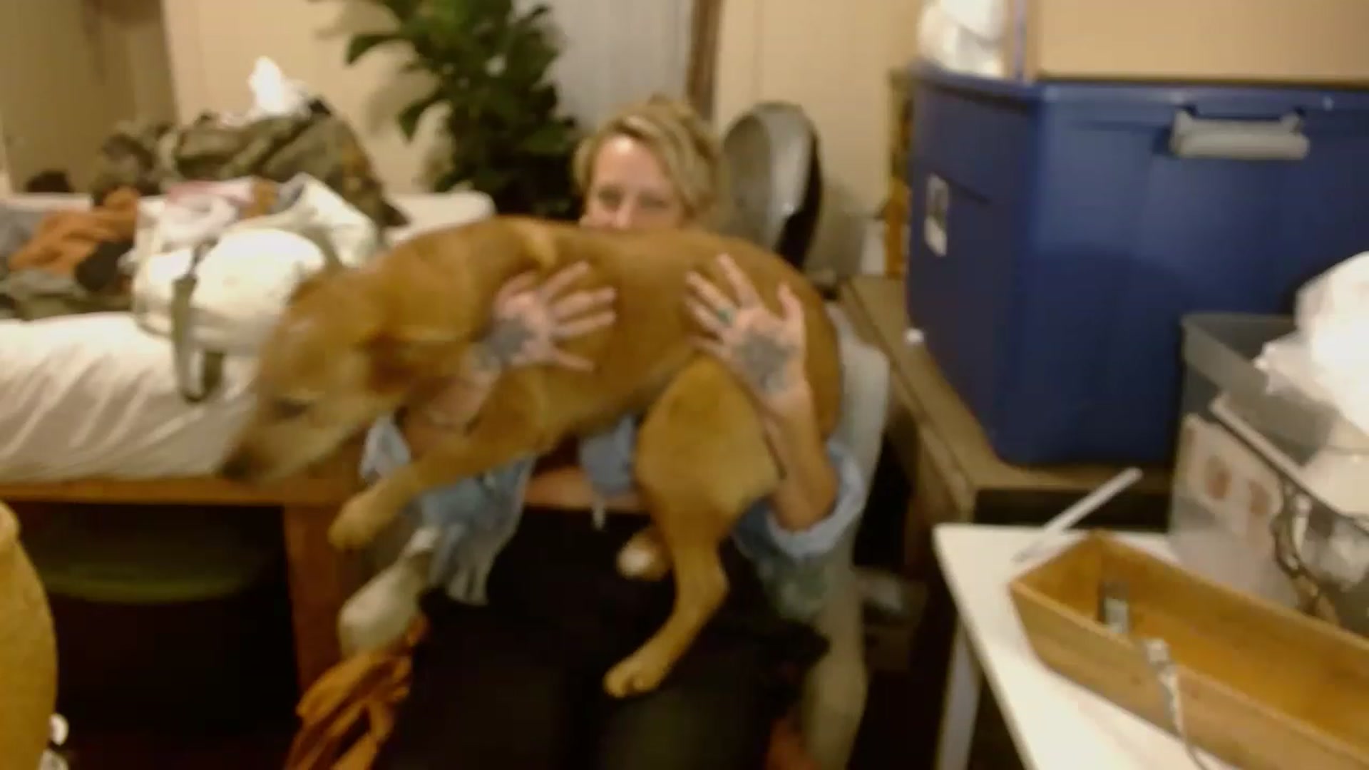 Gallery image thumbnail from Ailia_'s myfreecams stream on, 11/29/2022, 07:53 image 18 of 20