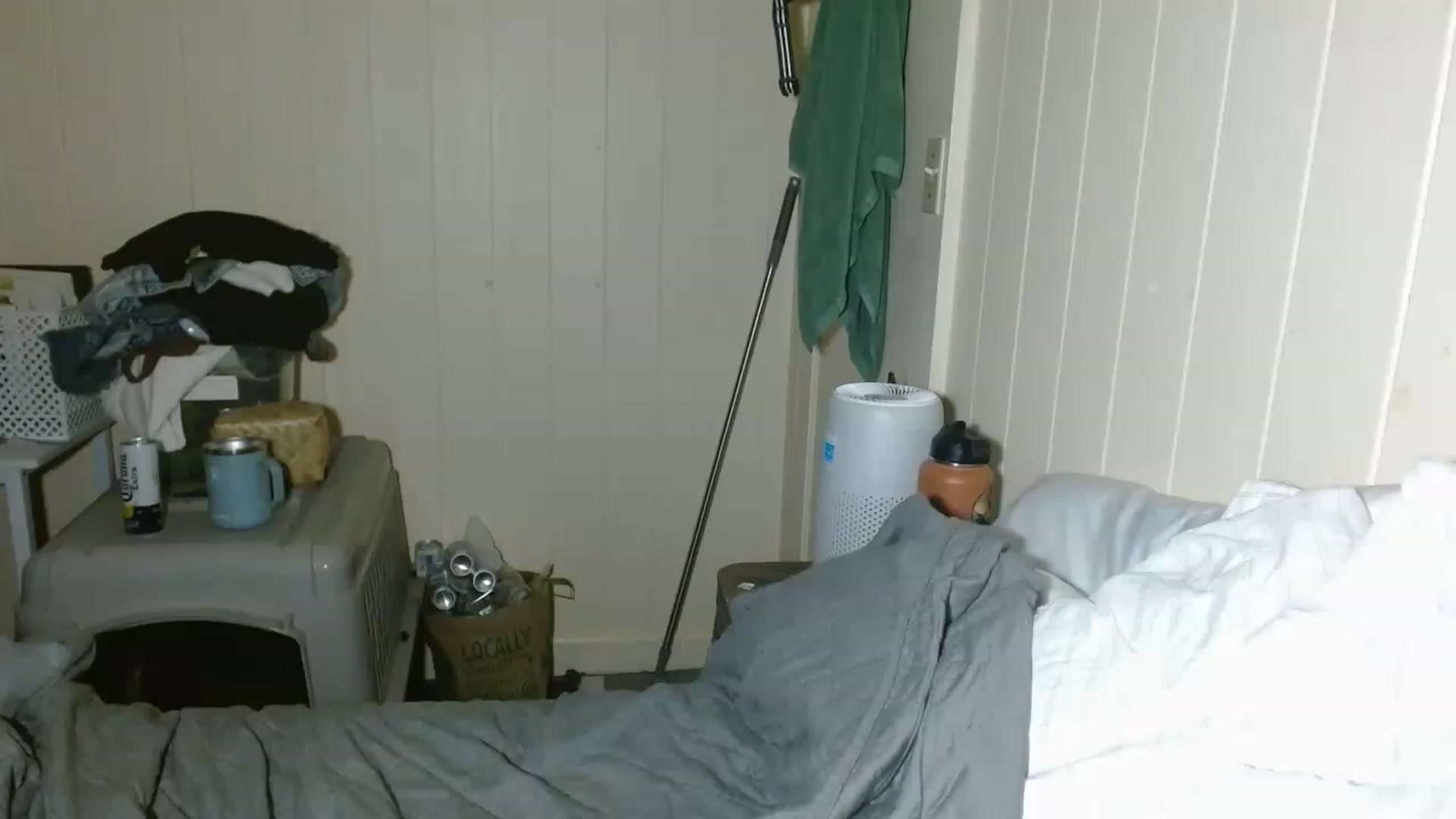 Gallery image thumbnail from Ailia_'s myfreecams stream on, 12/07/2022, 09:02 image 14 of 20