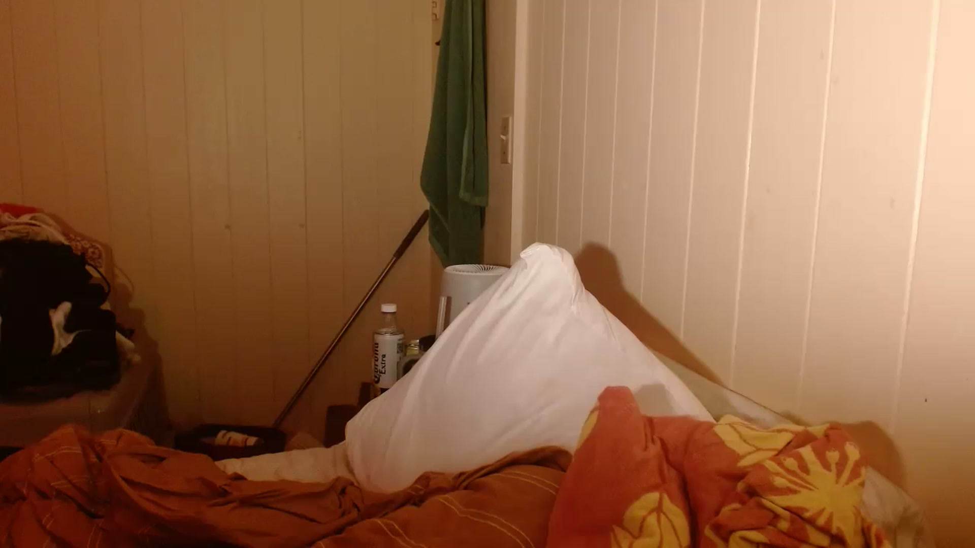 Gallery image thumbnail from Ailia_'s myfreecams stream on, 12/27/2022, 10:23 image 10 of 20