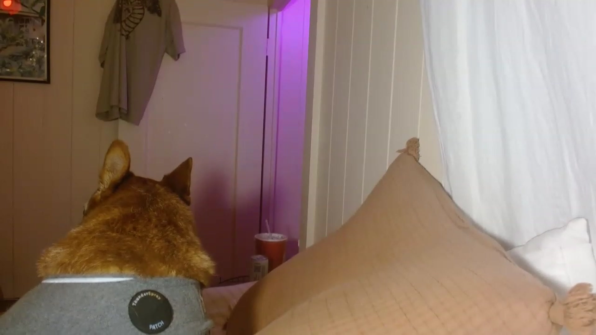 Gallery image thumbnail from Ailia_'s myfreecams stream on, 01/01/2023, 10:39 image 12 of 20