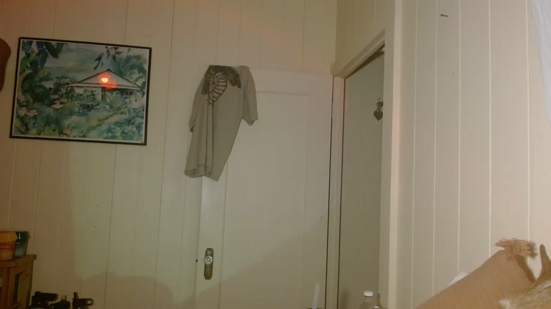 Gallery image thumbnail from Ailia_'s myfreecams stream on, 01/02/2023, 10:16 image 18 of 20