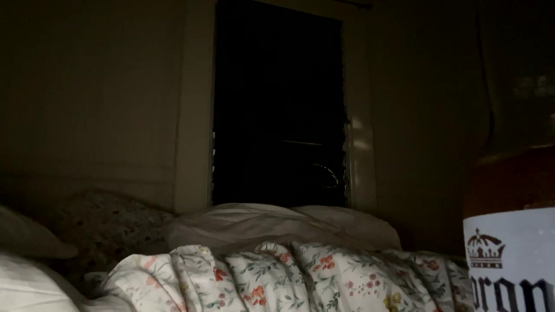 Gallery image thumbnail from Ailia_'s myfreecams stream on, 09/10/2023, 09:09 image 19 of 20